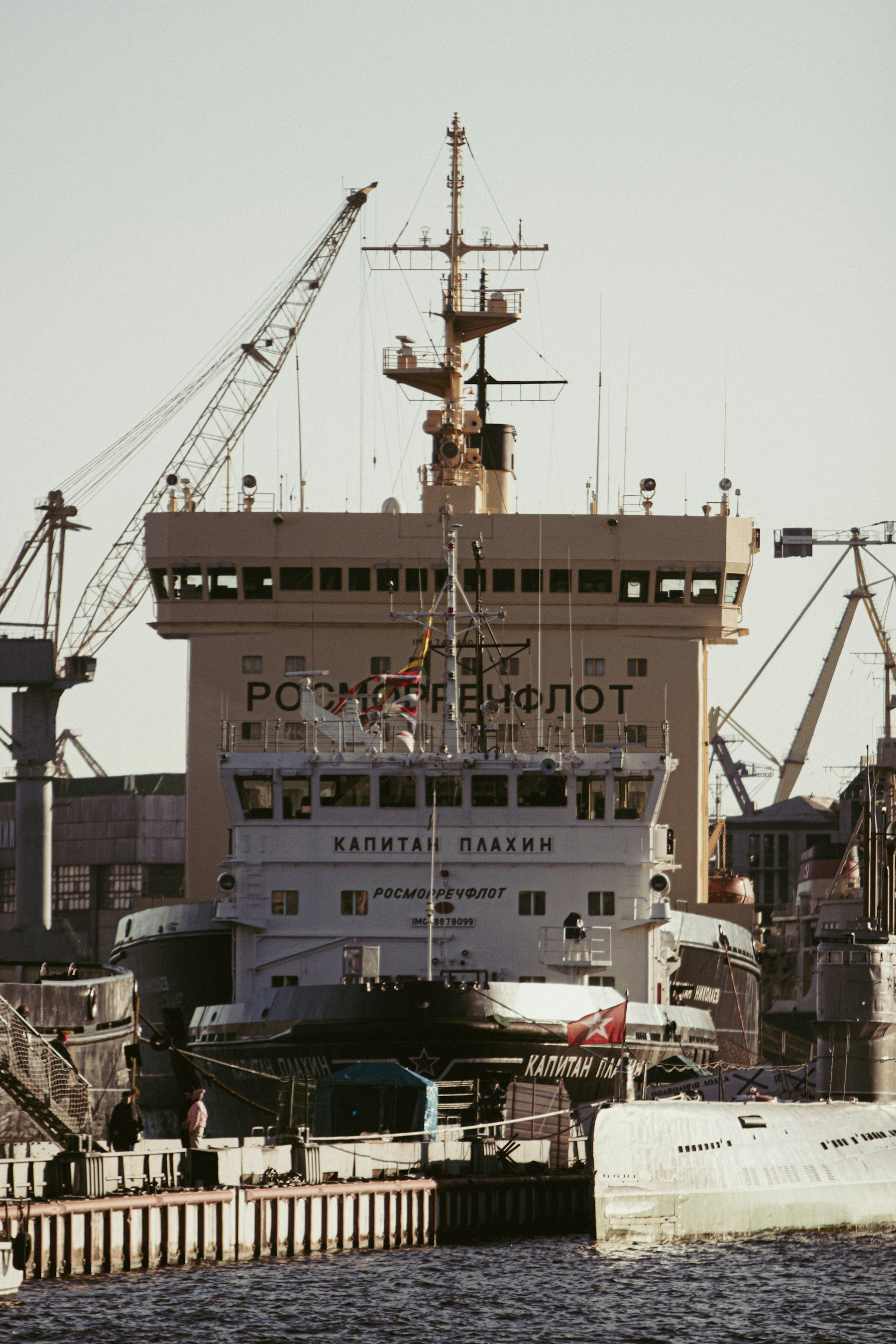 Mol Ace