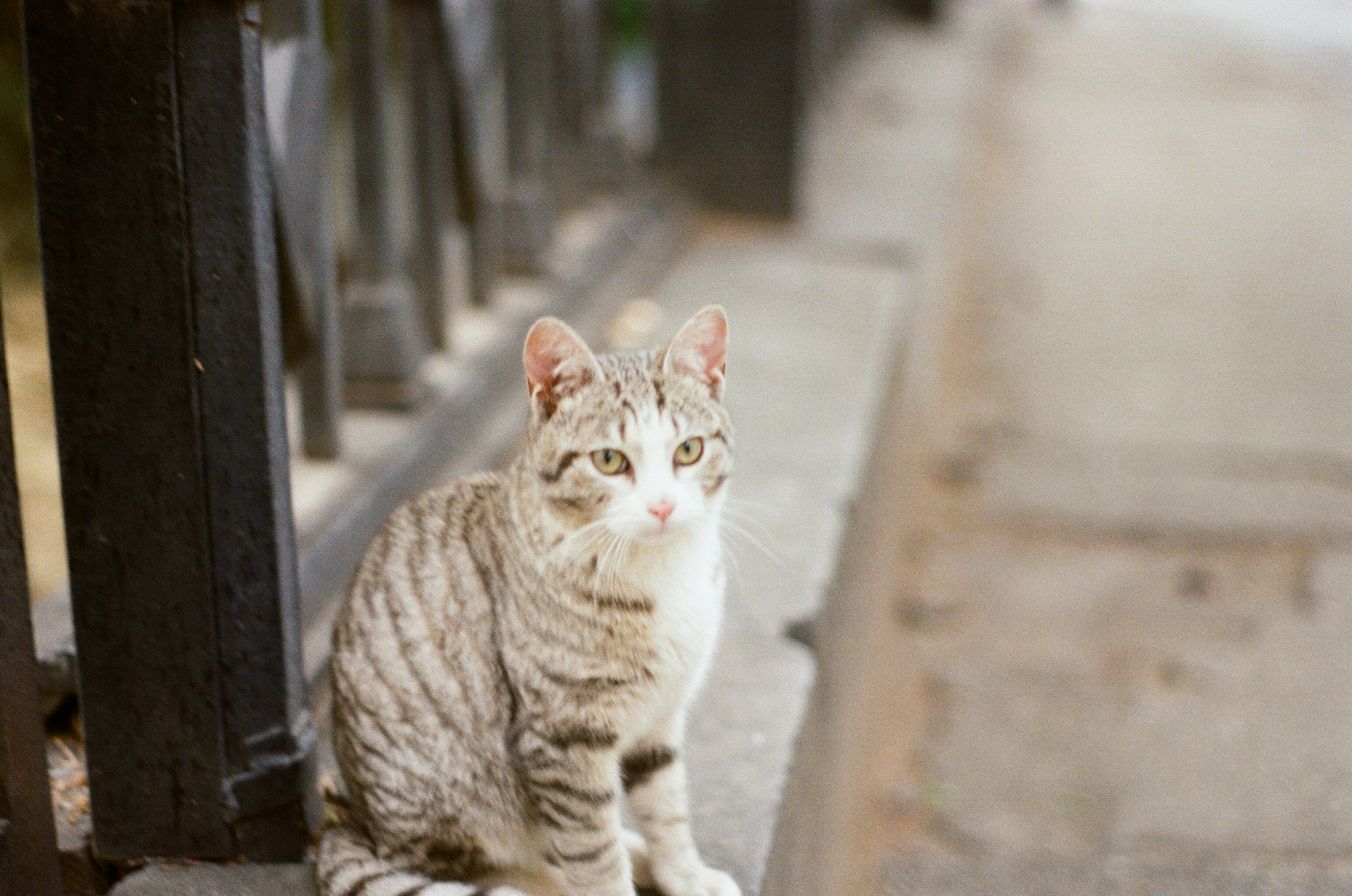 Photo by mountaincharlie