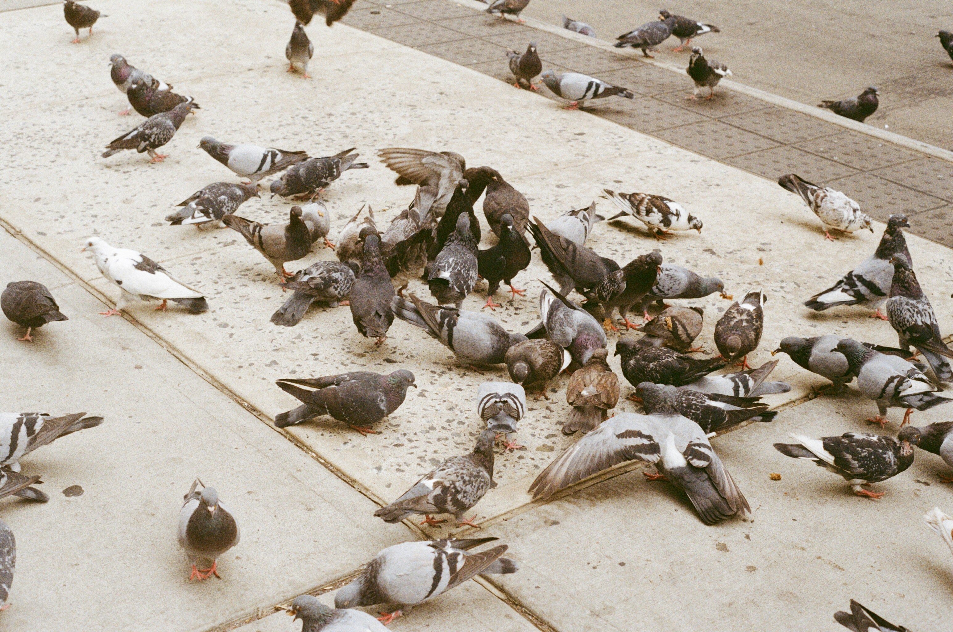 Photo by mountaincharlie