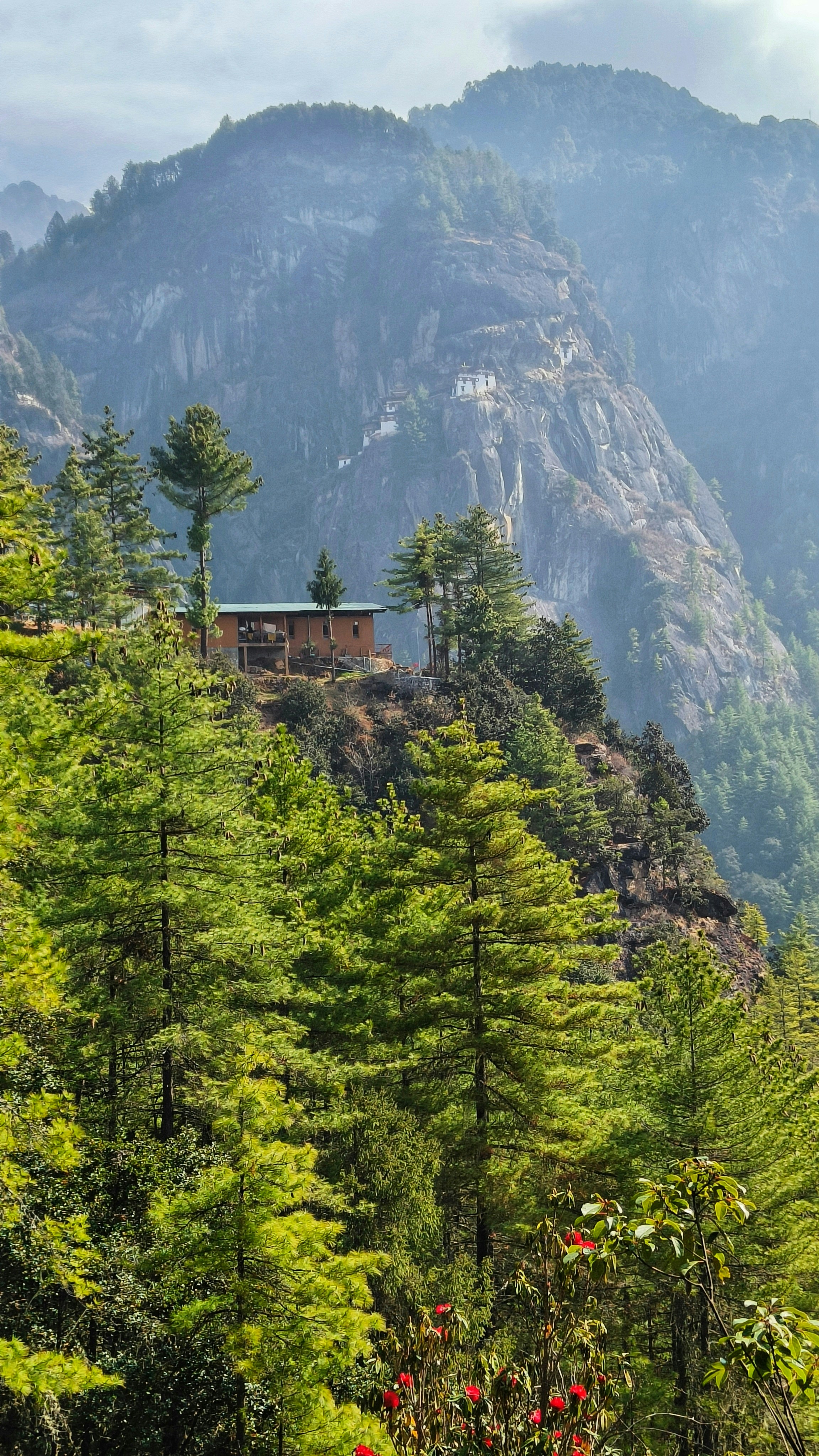 House amidst trees in a mountainous landscape.