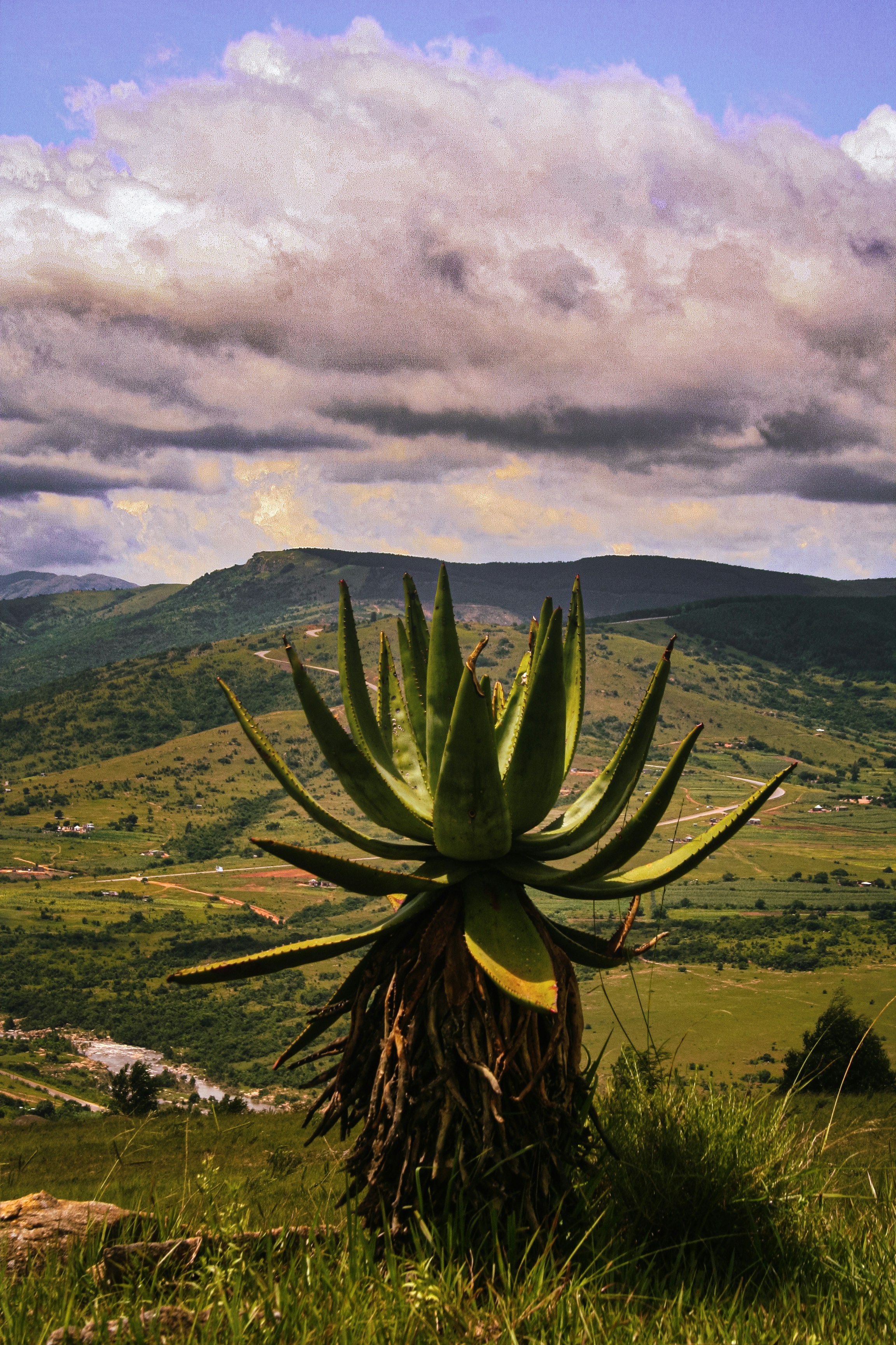 Photo by proudlyswazi