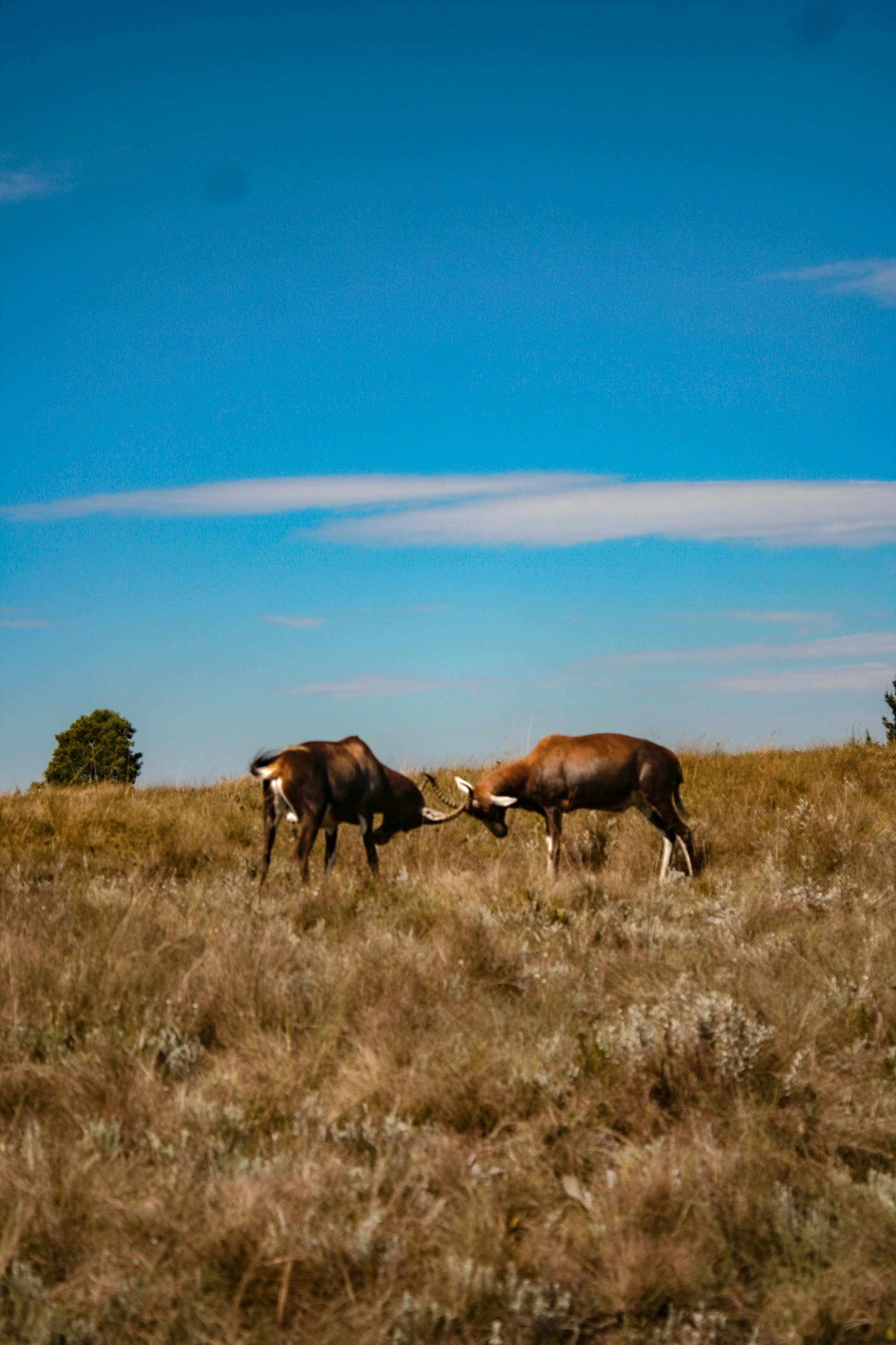 Photo by proudlyswazi