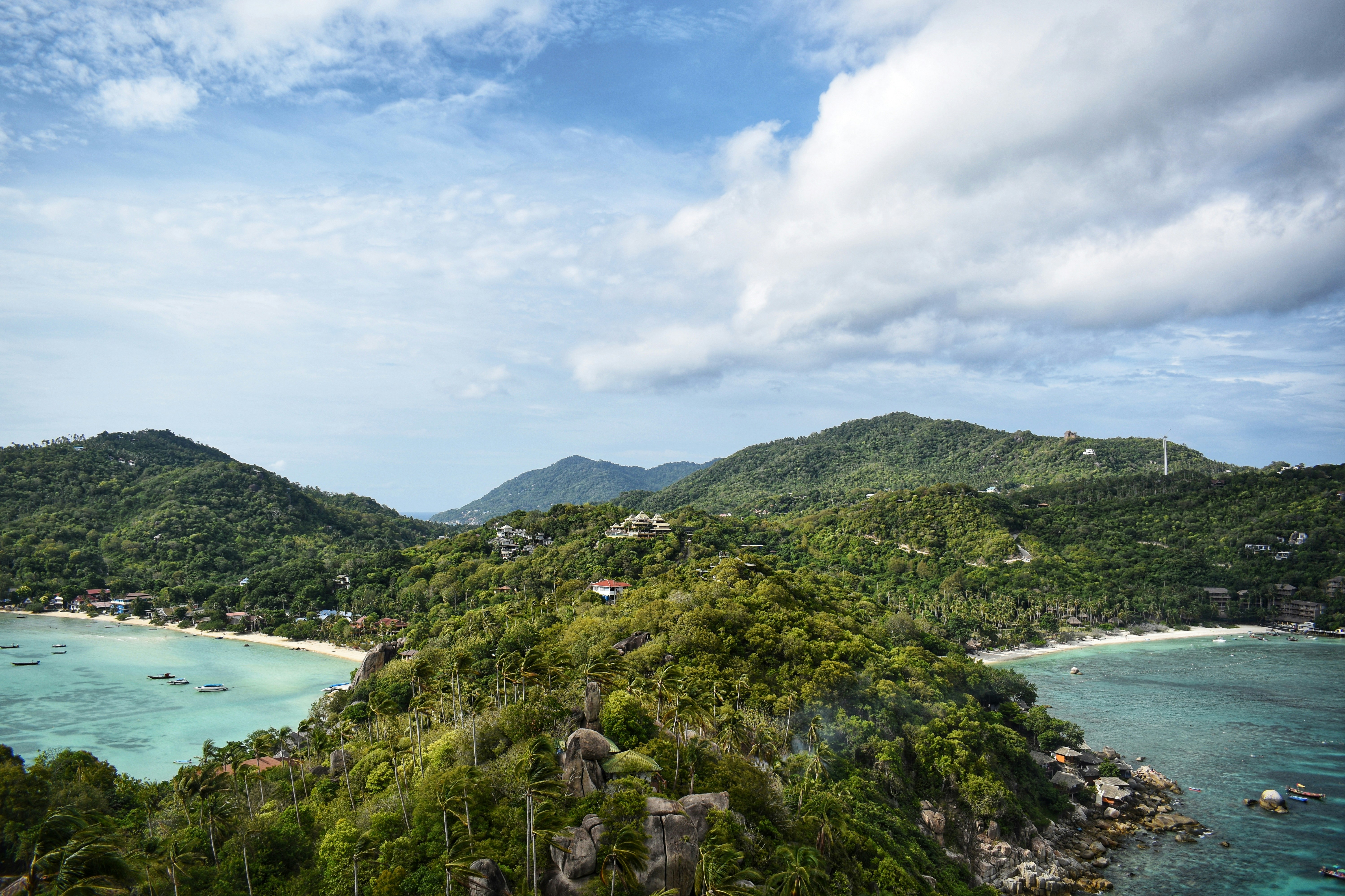 Photo by murphys_photos