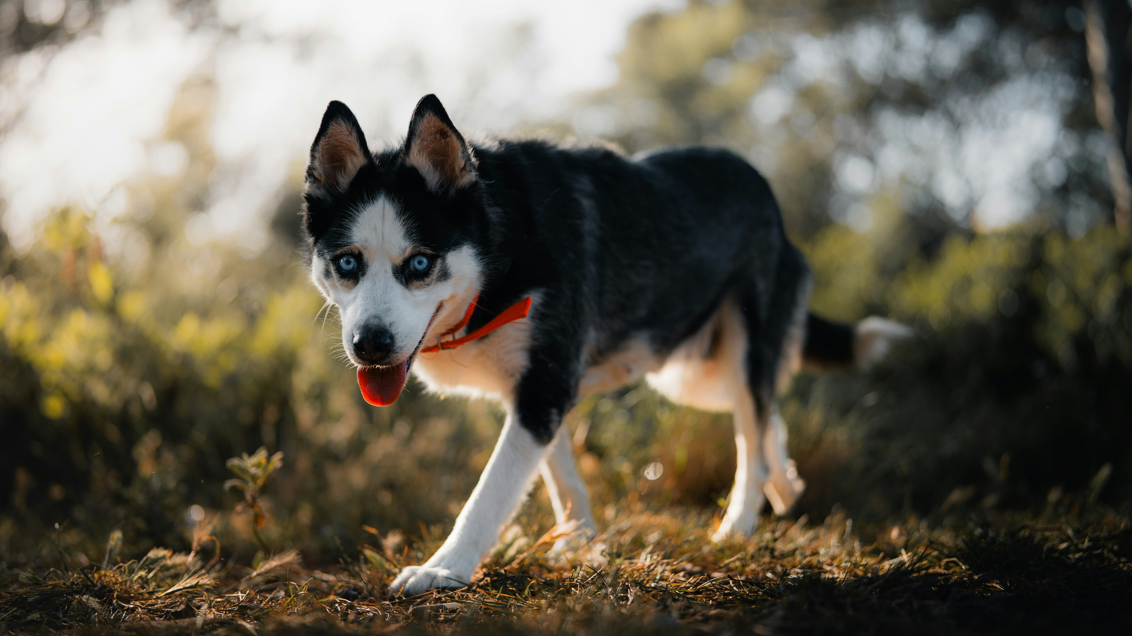 Photo by theemanofoth