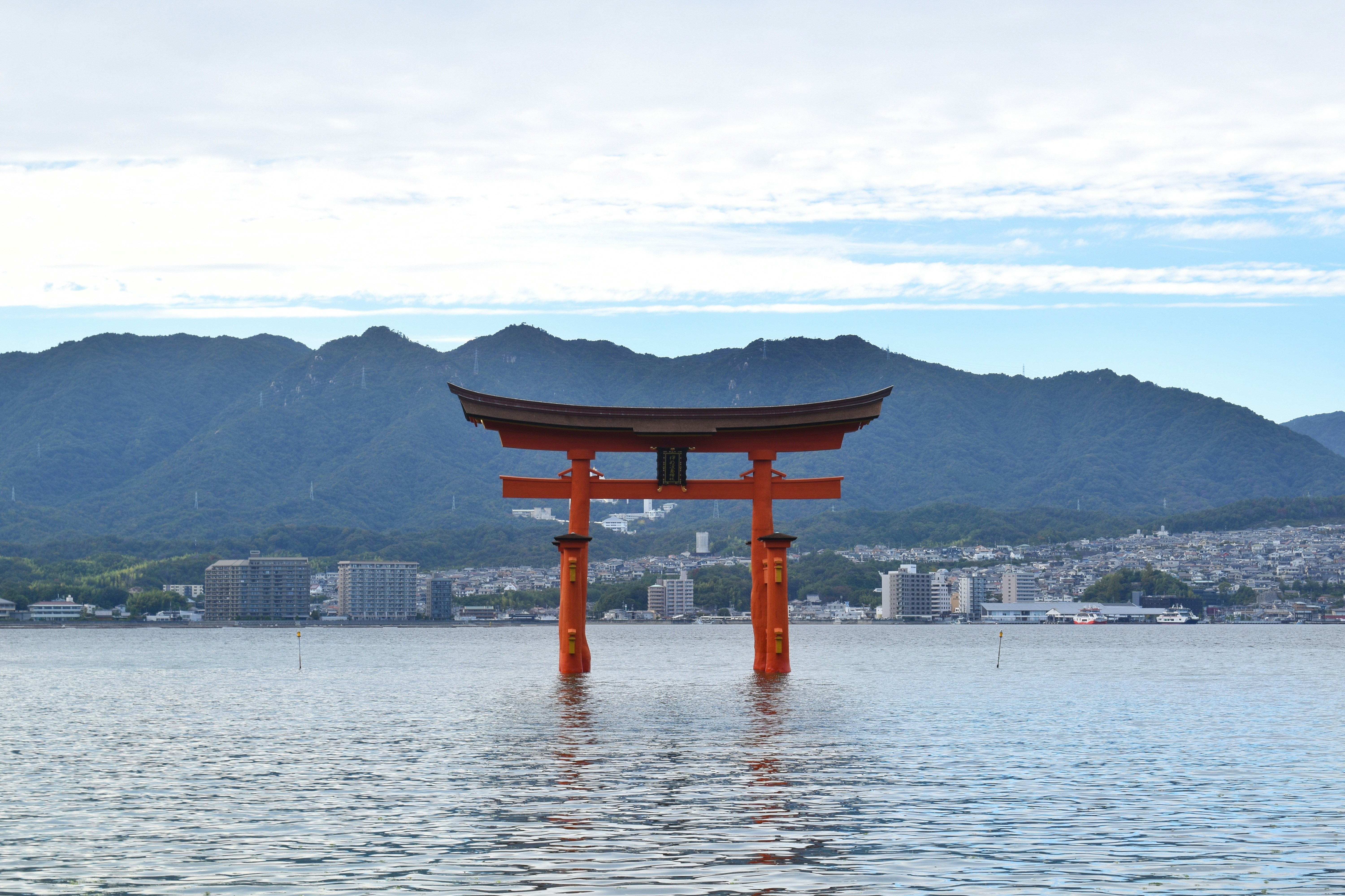 Photo by murphys_photos