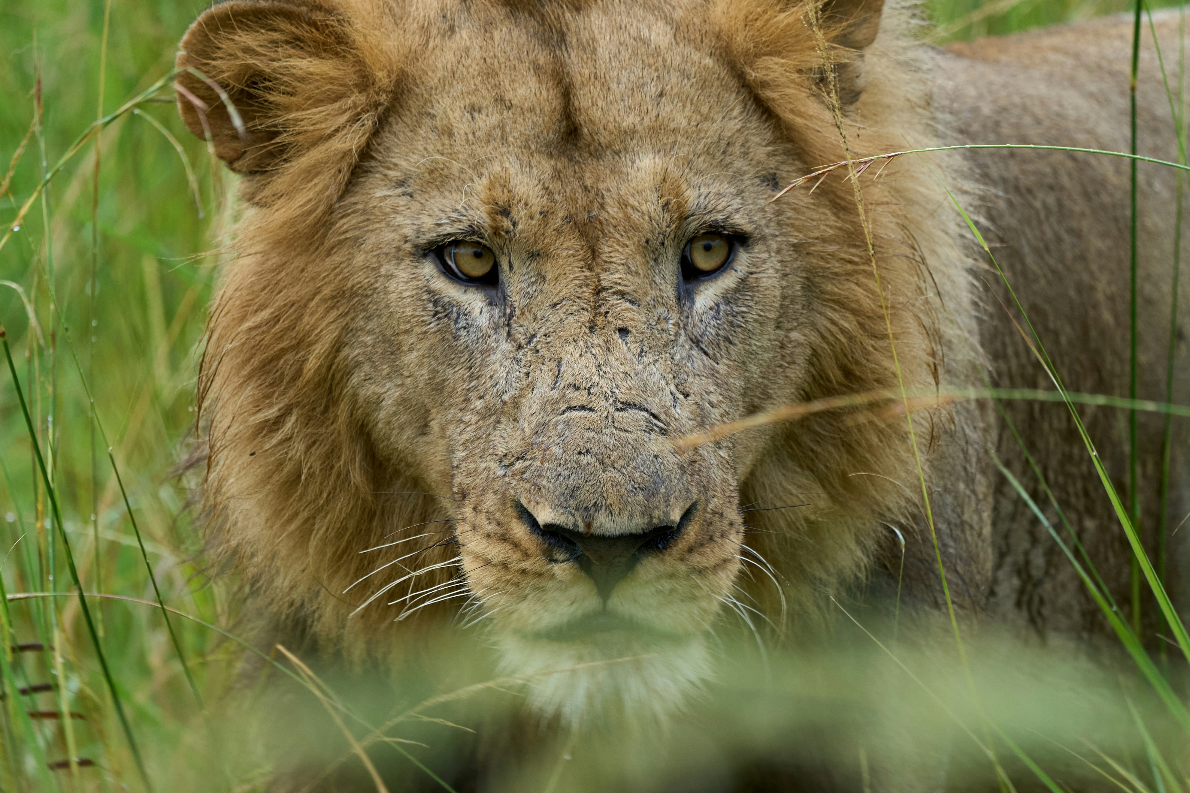 Photo of Kafue National Park
