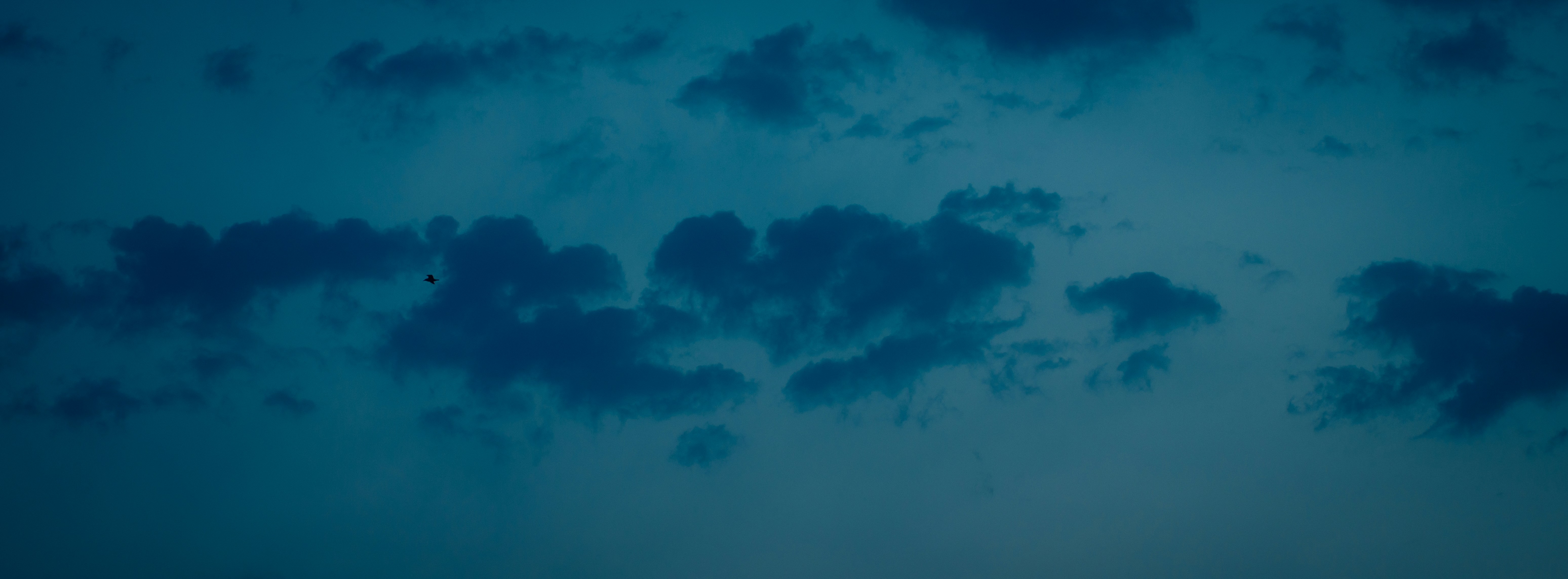 Photo by chris_lynch_