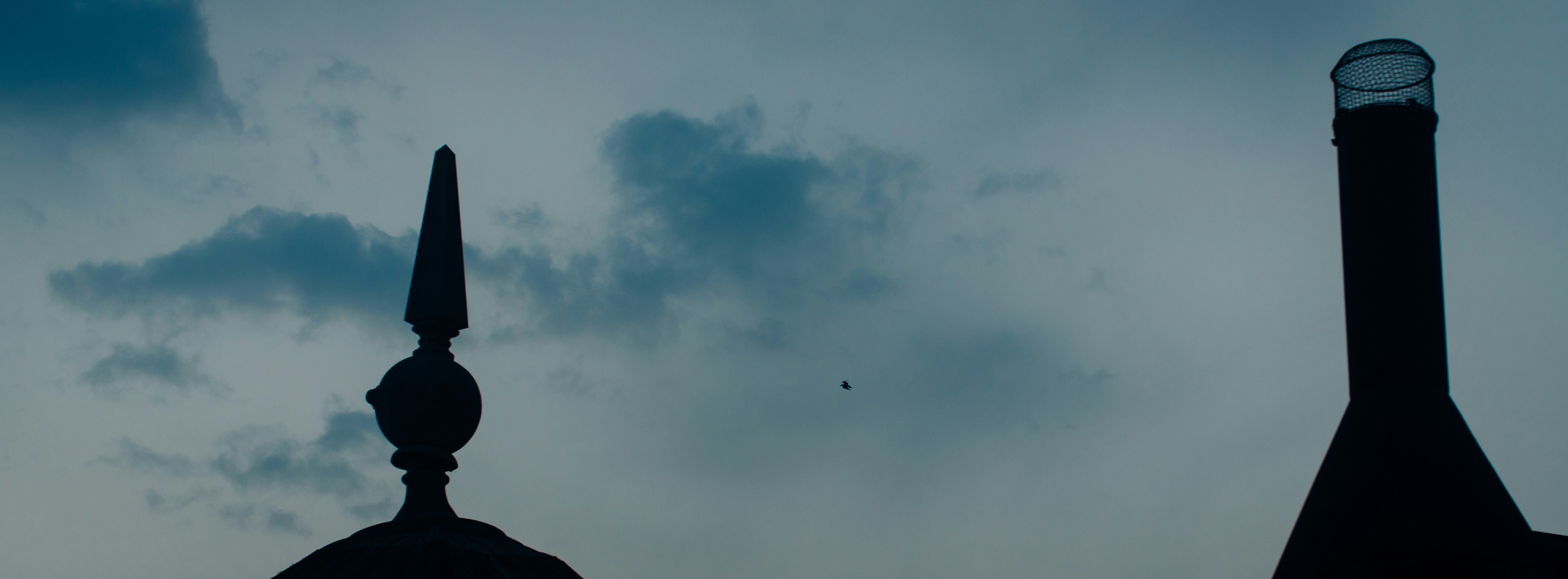 Photo by chris_lynch_