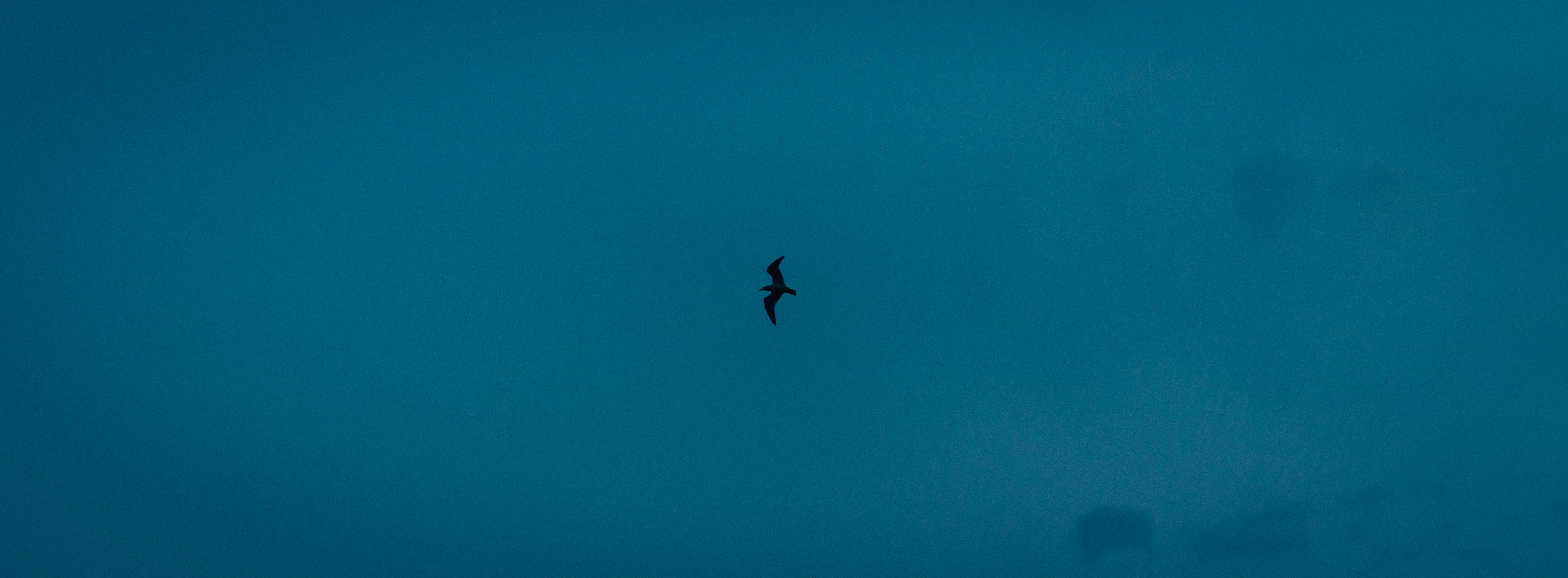 Photo by chris_lynch_