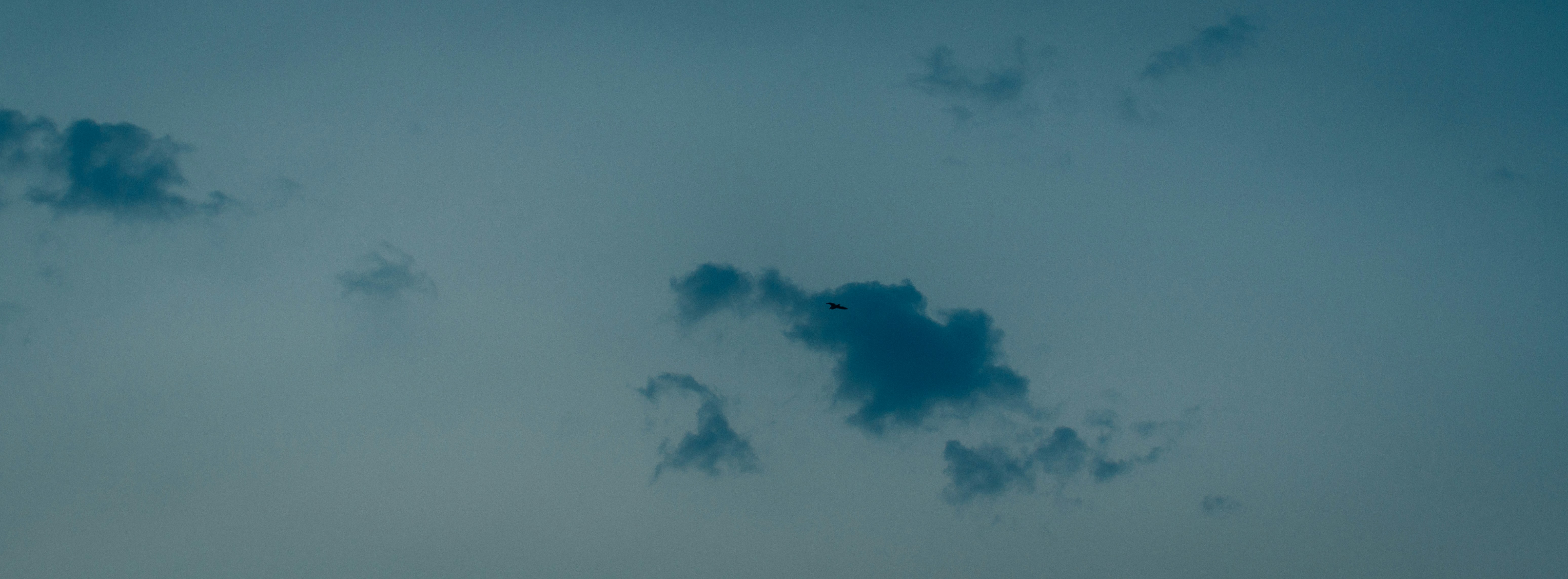 Photo by chris_lynch_