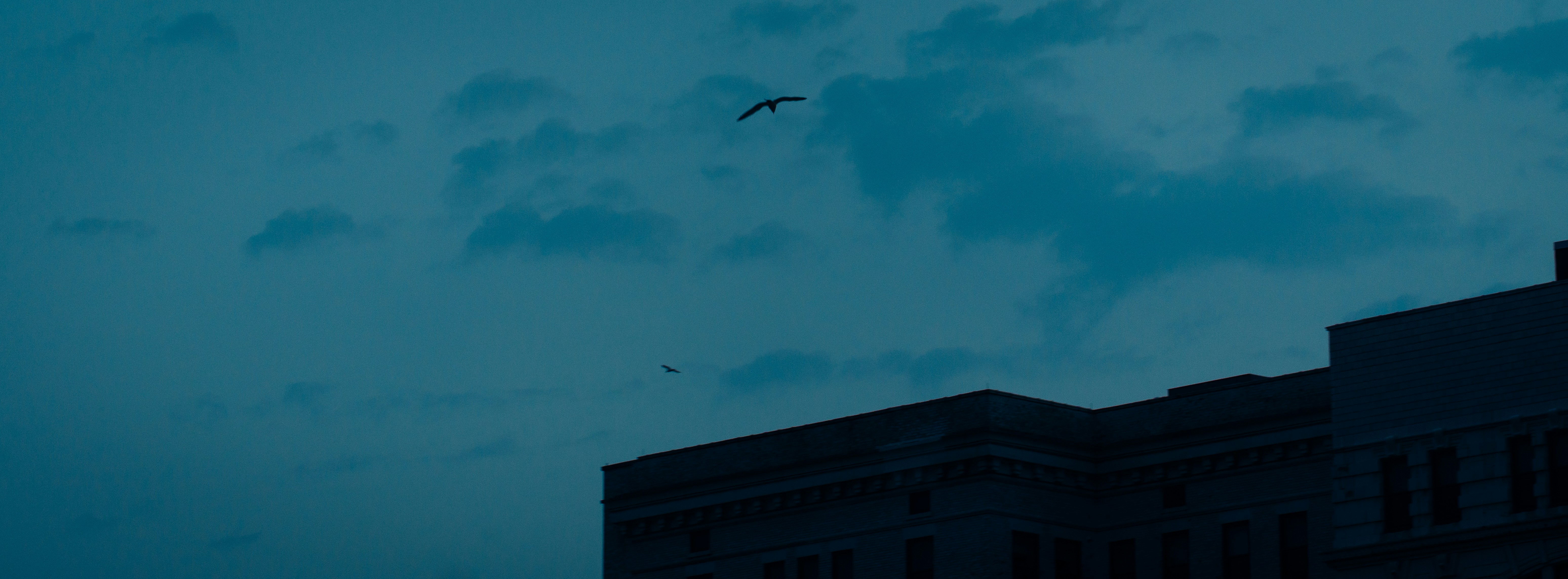 Photo by chris_lynch_