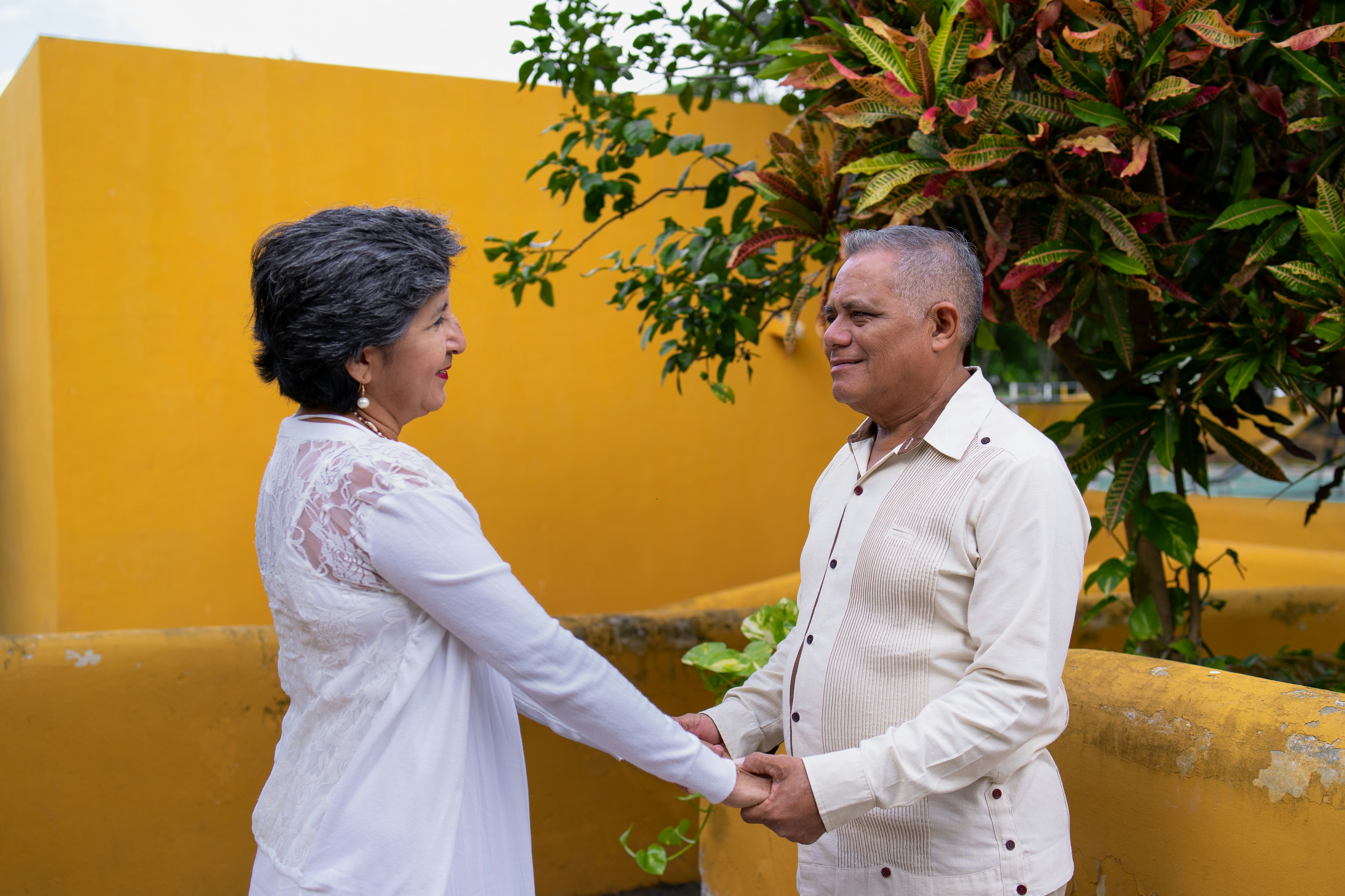 Partnership collaboration