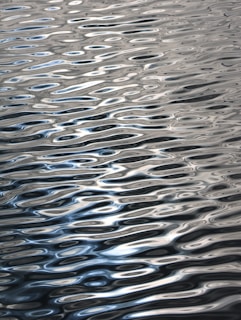 Ripples reflect sunlight on the water's surface.