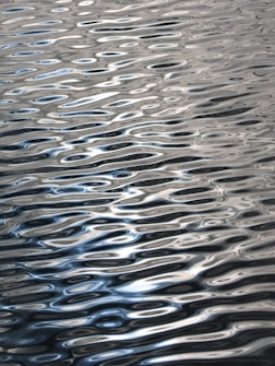 Ripples reflect sunlight on the water's surface.