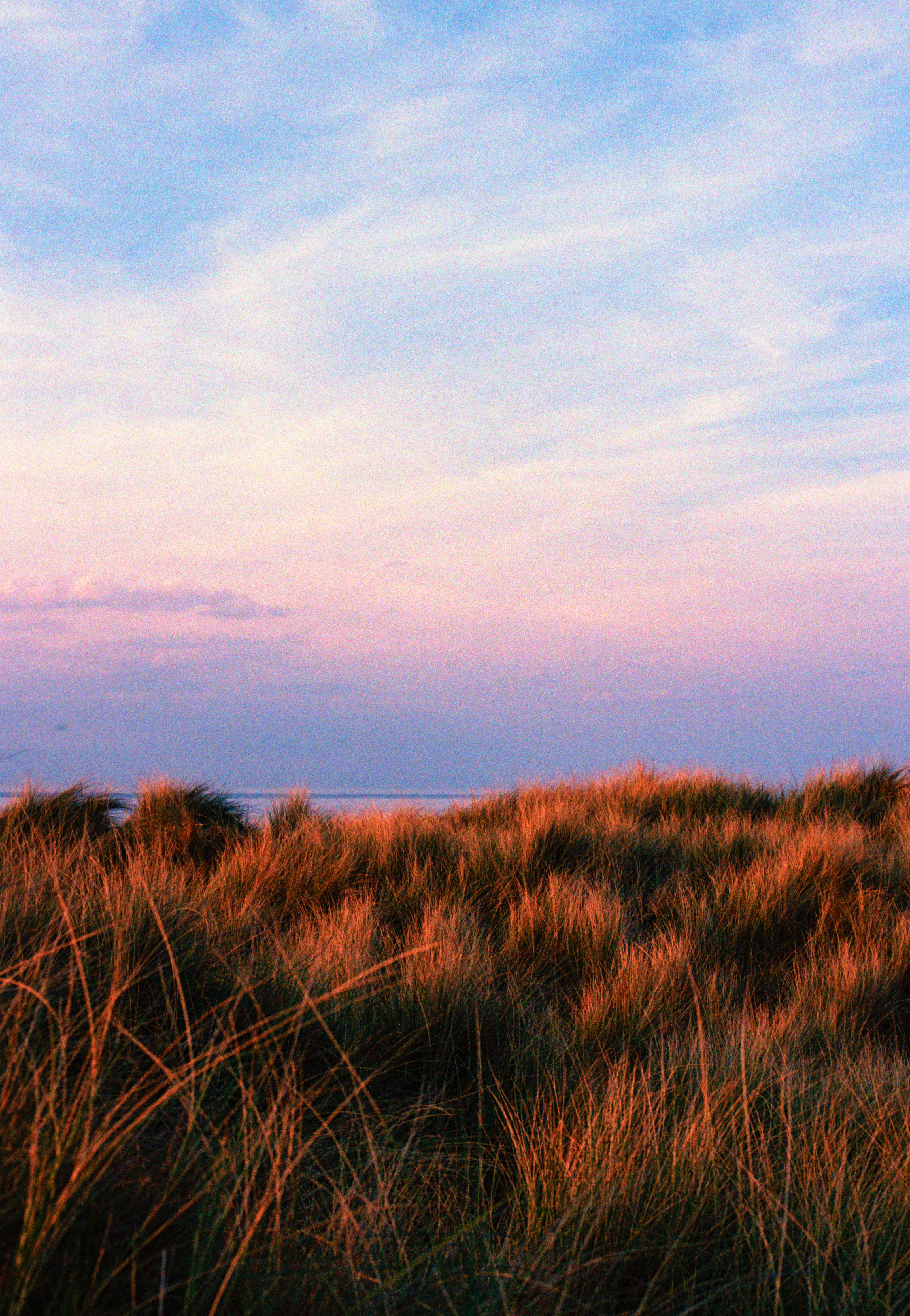 Photo by chrisvomradio