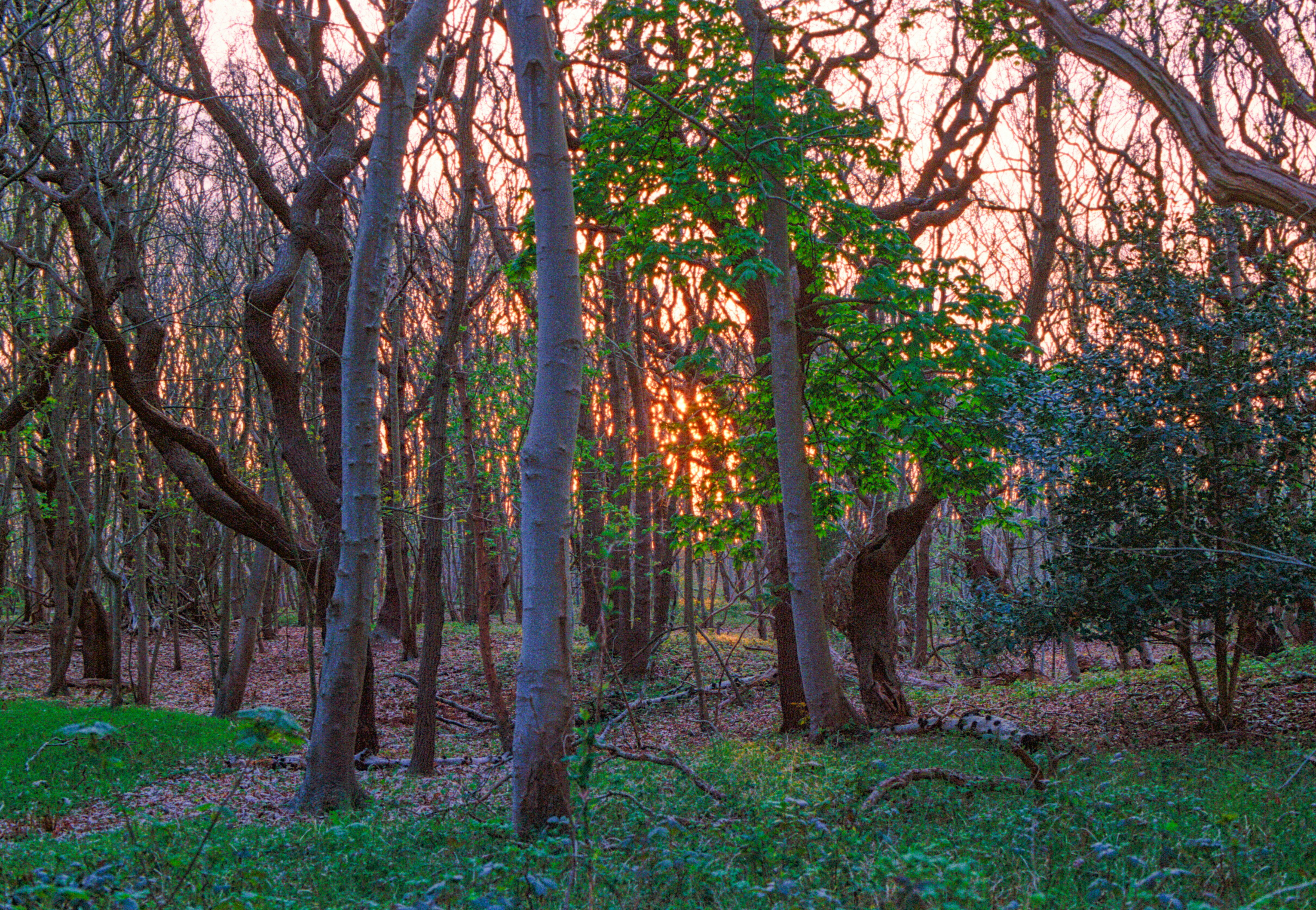 Photo by chrisvomradio