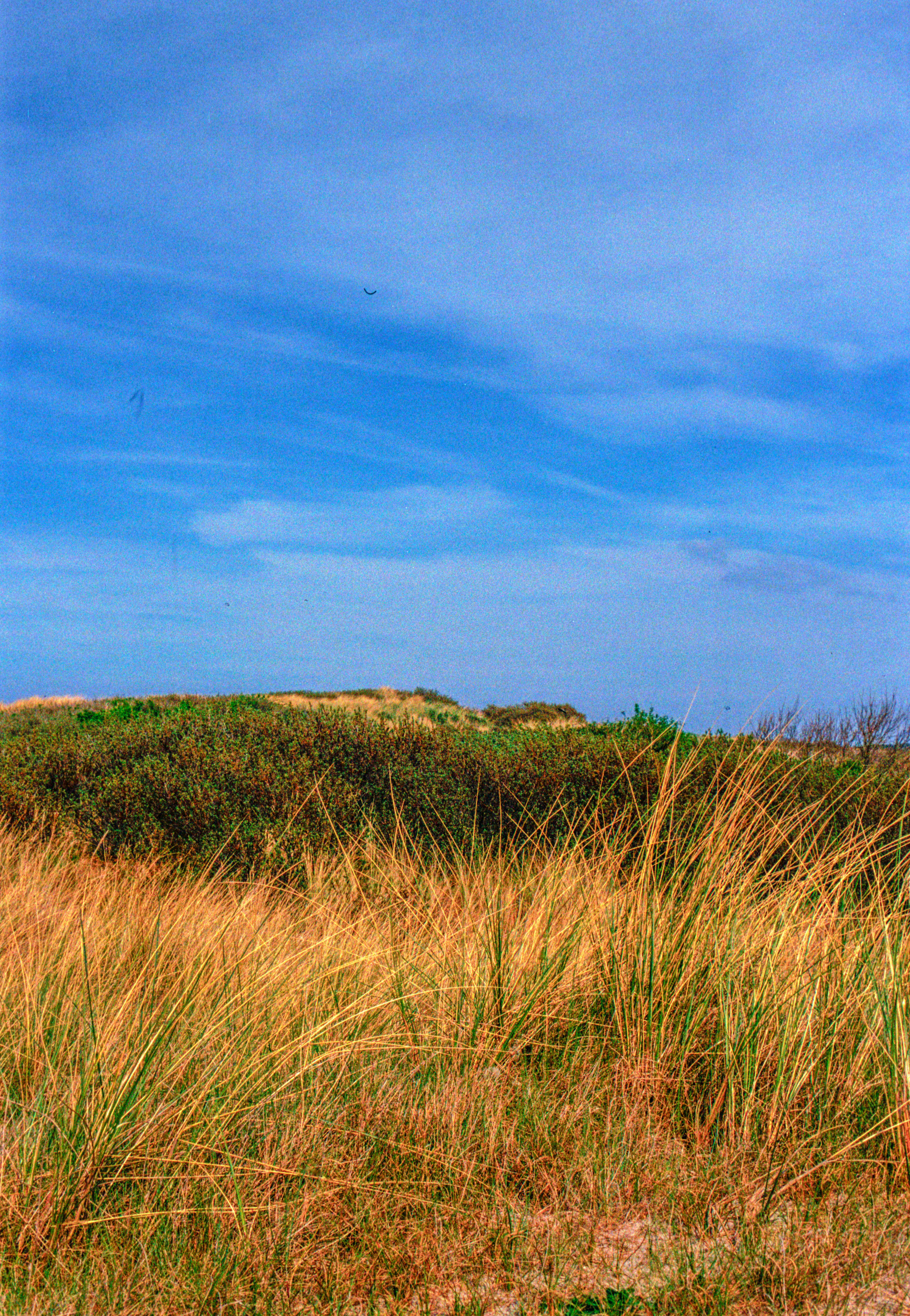 Photo by chrisvomradio