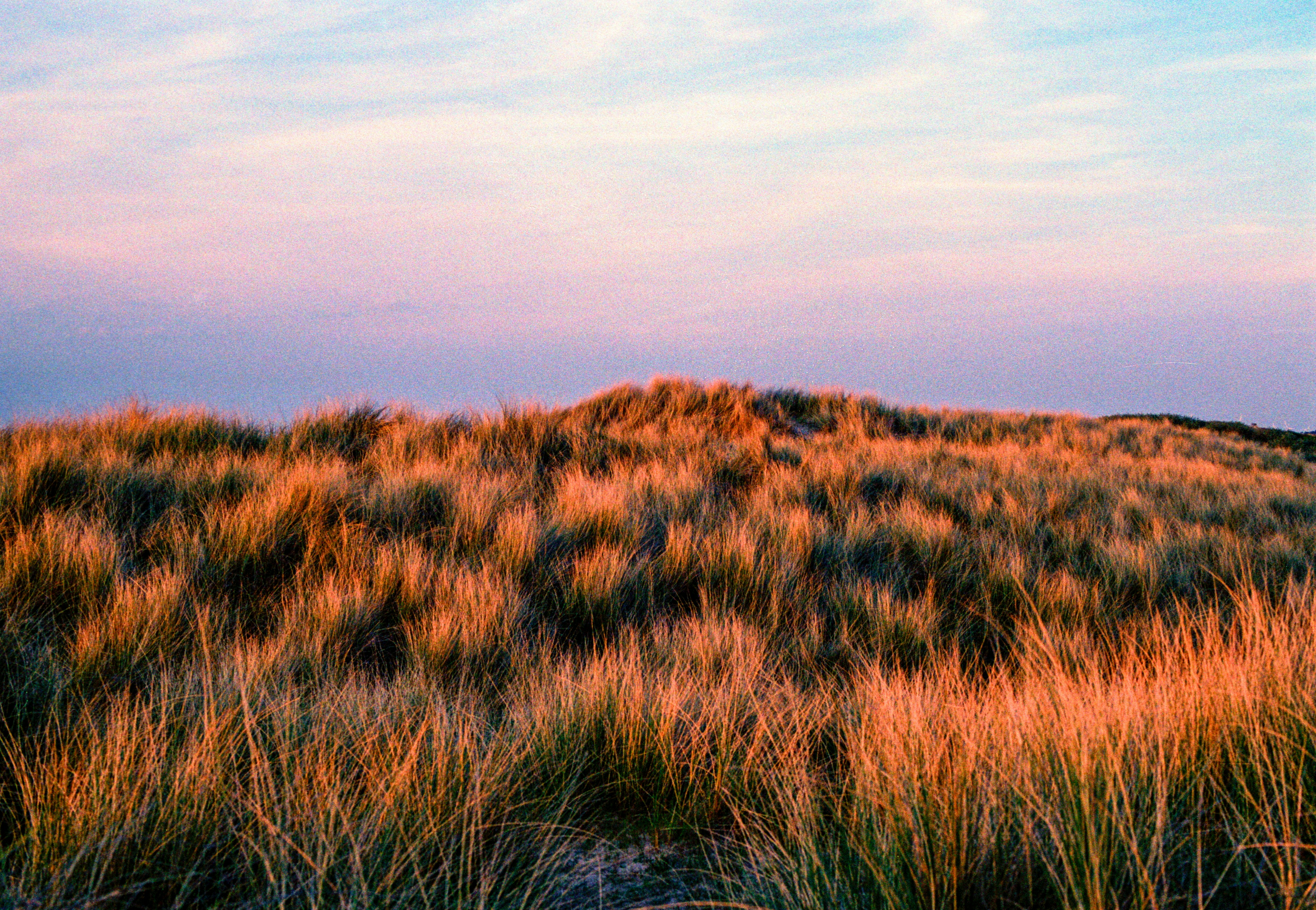 Photo by chrisvomradio