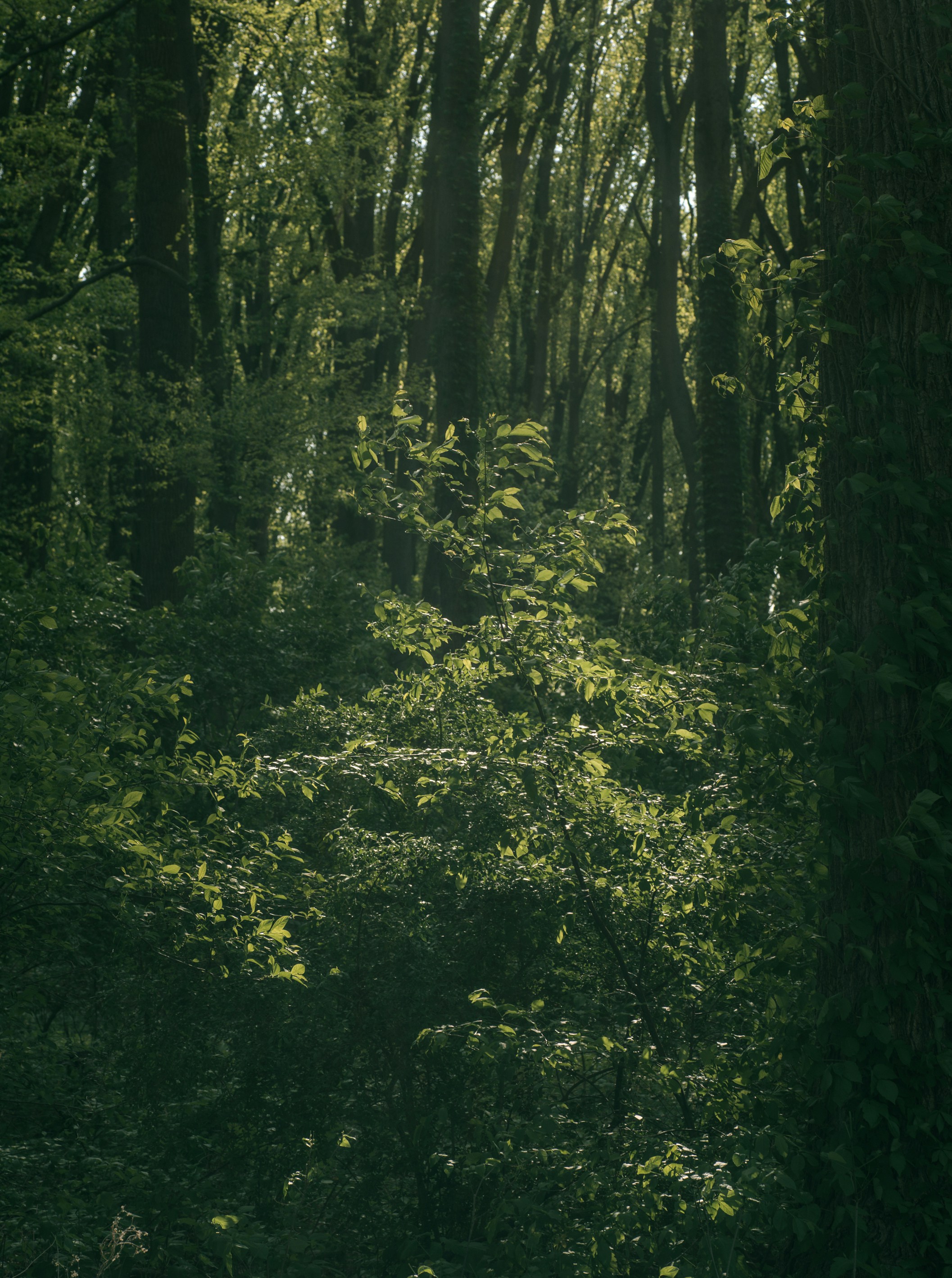 Photo by renatakneedham