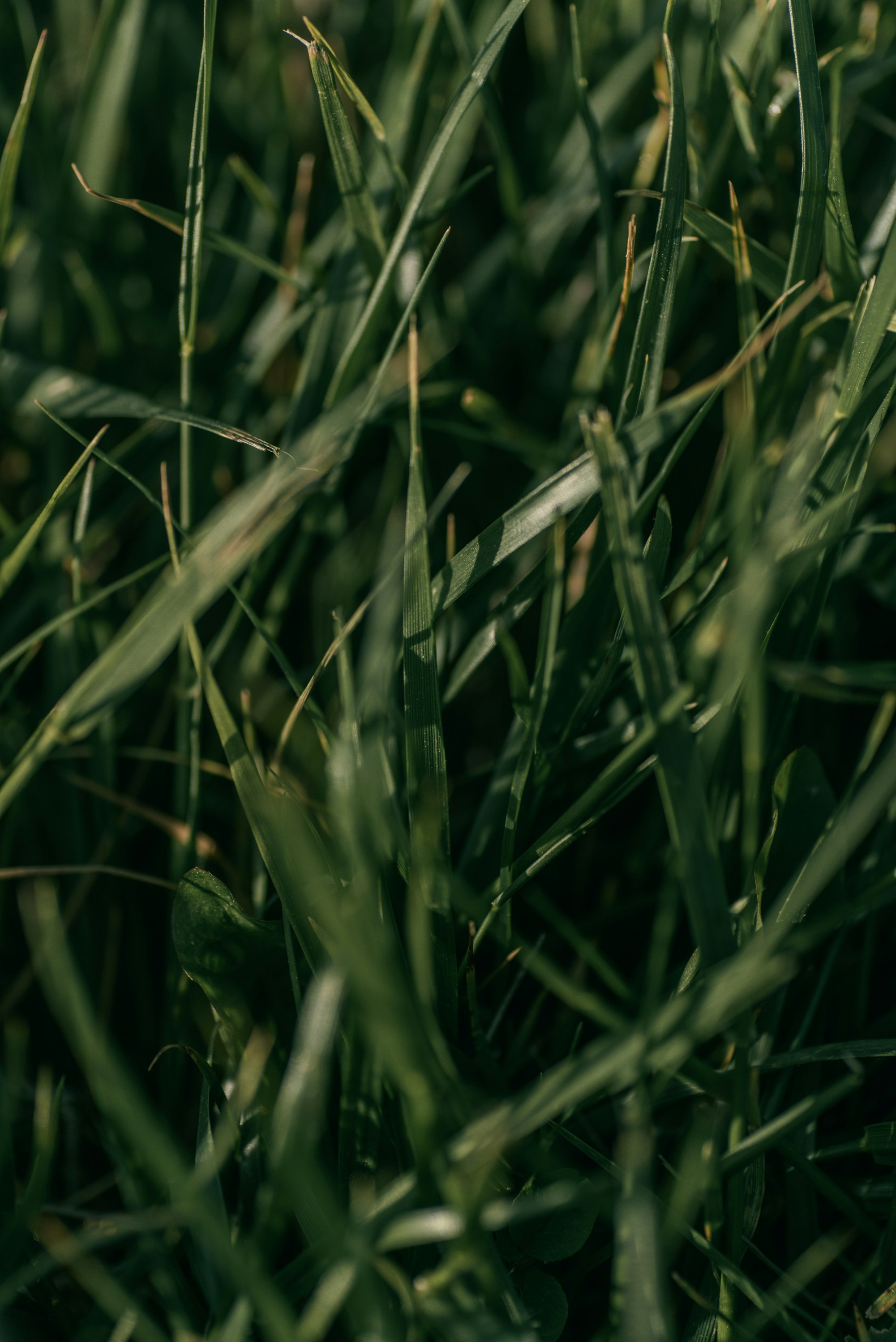 Photo by renatakneedham