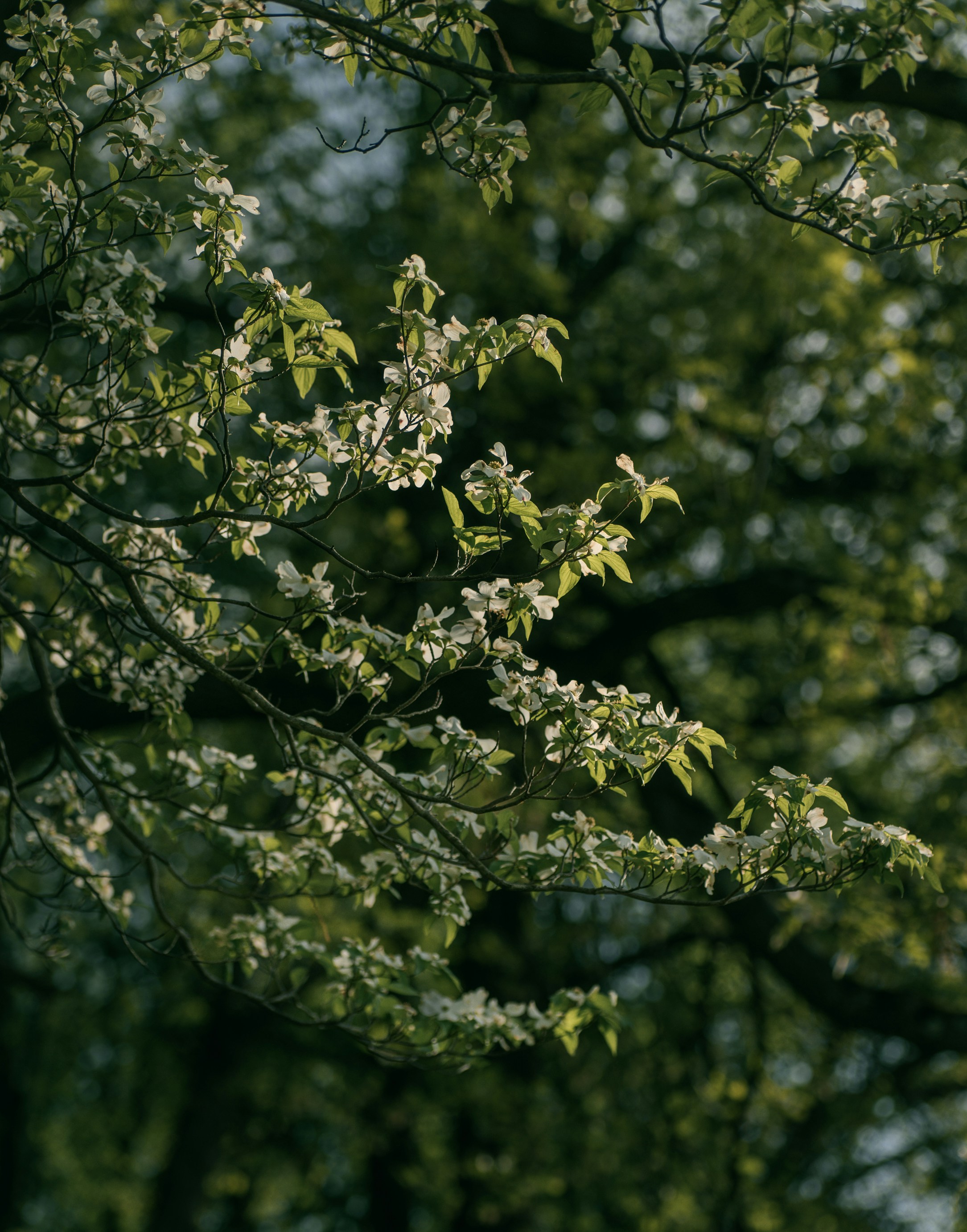 Photo by renatakneedham