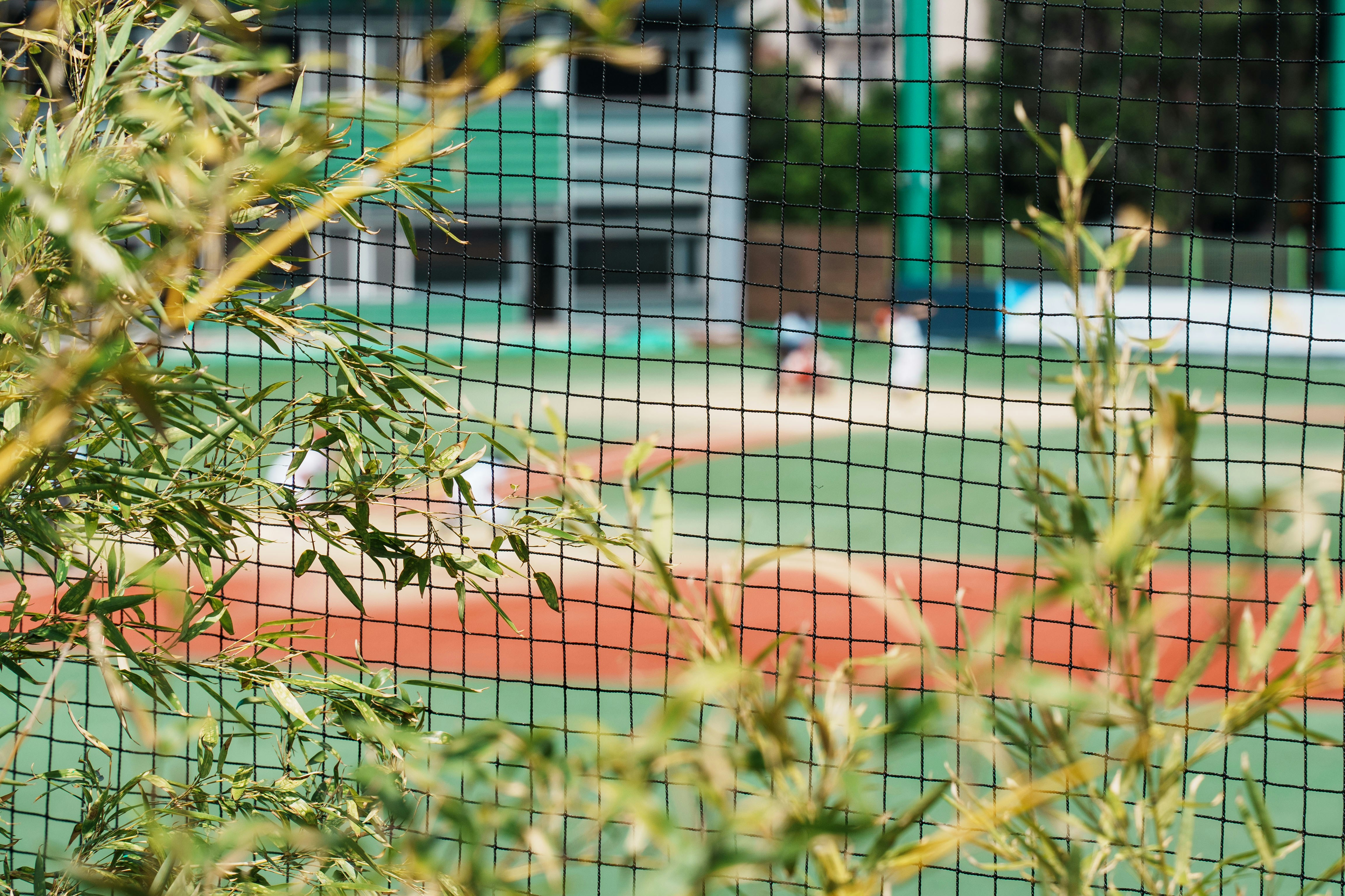 Junior Tennis