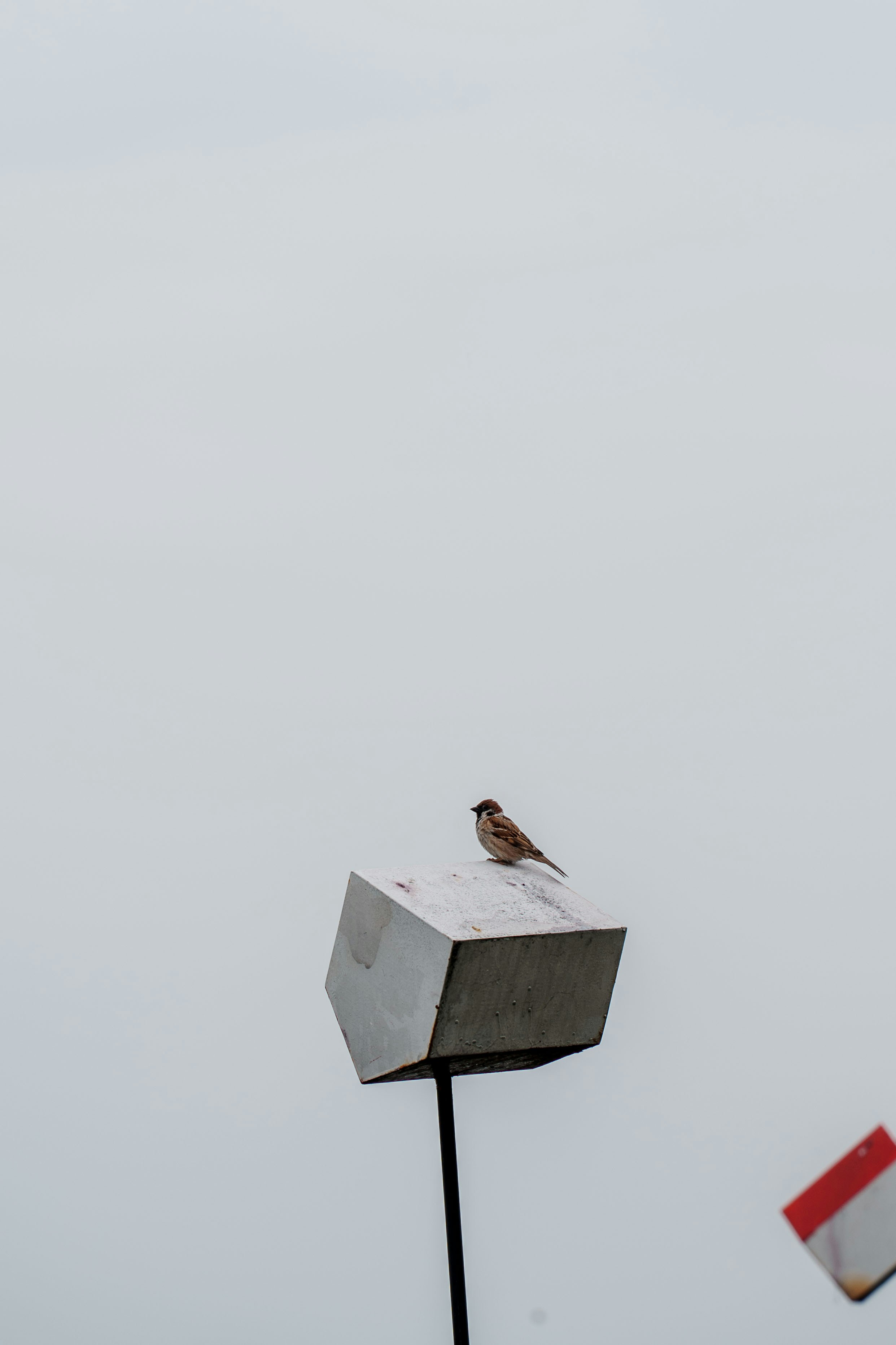 Photo by sobalc