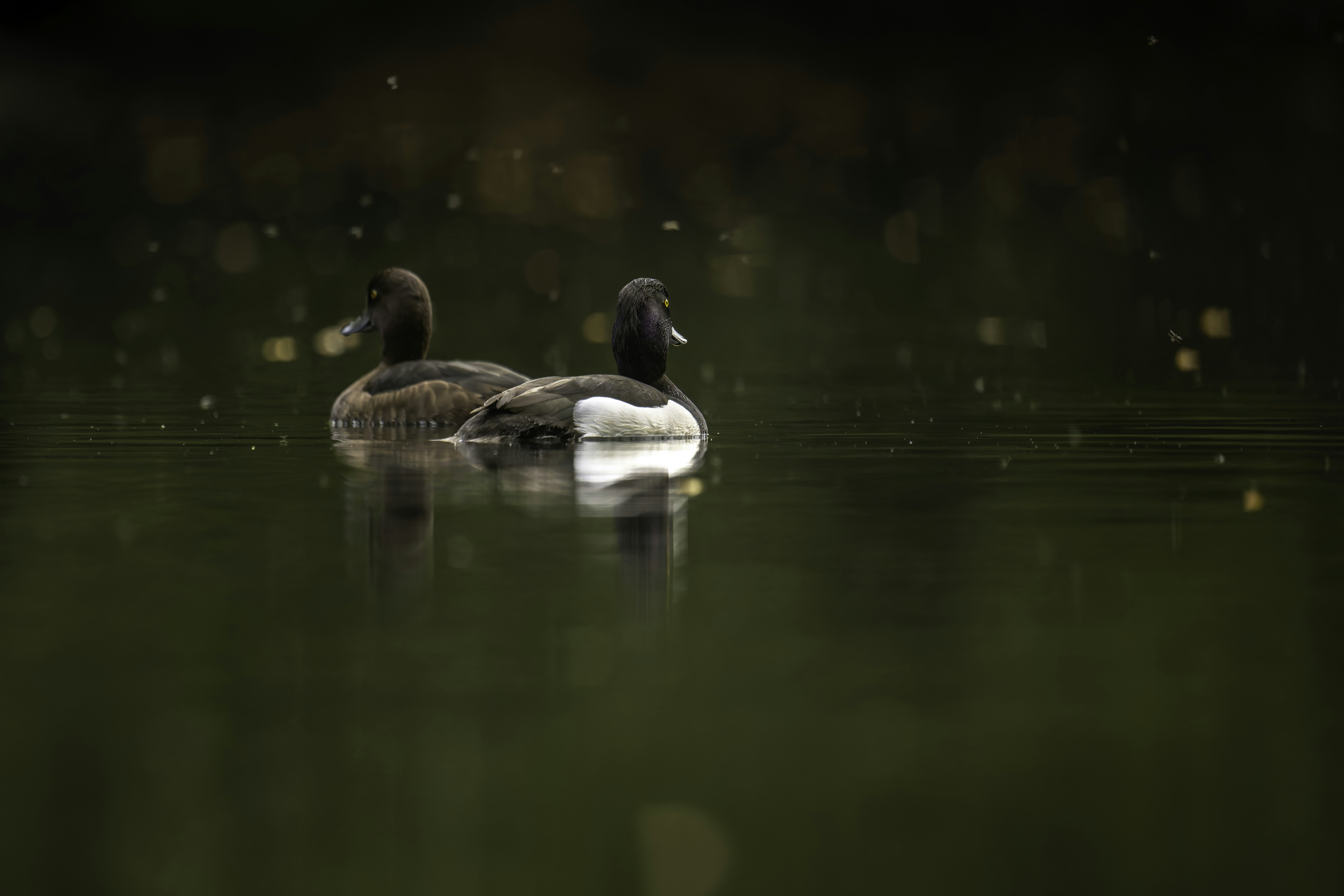 Photo by coombez