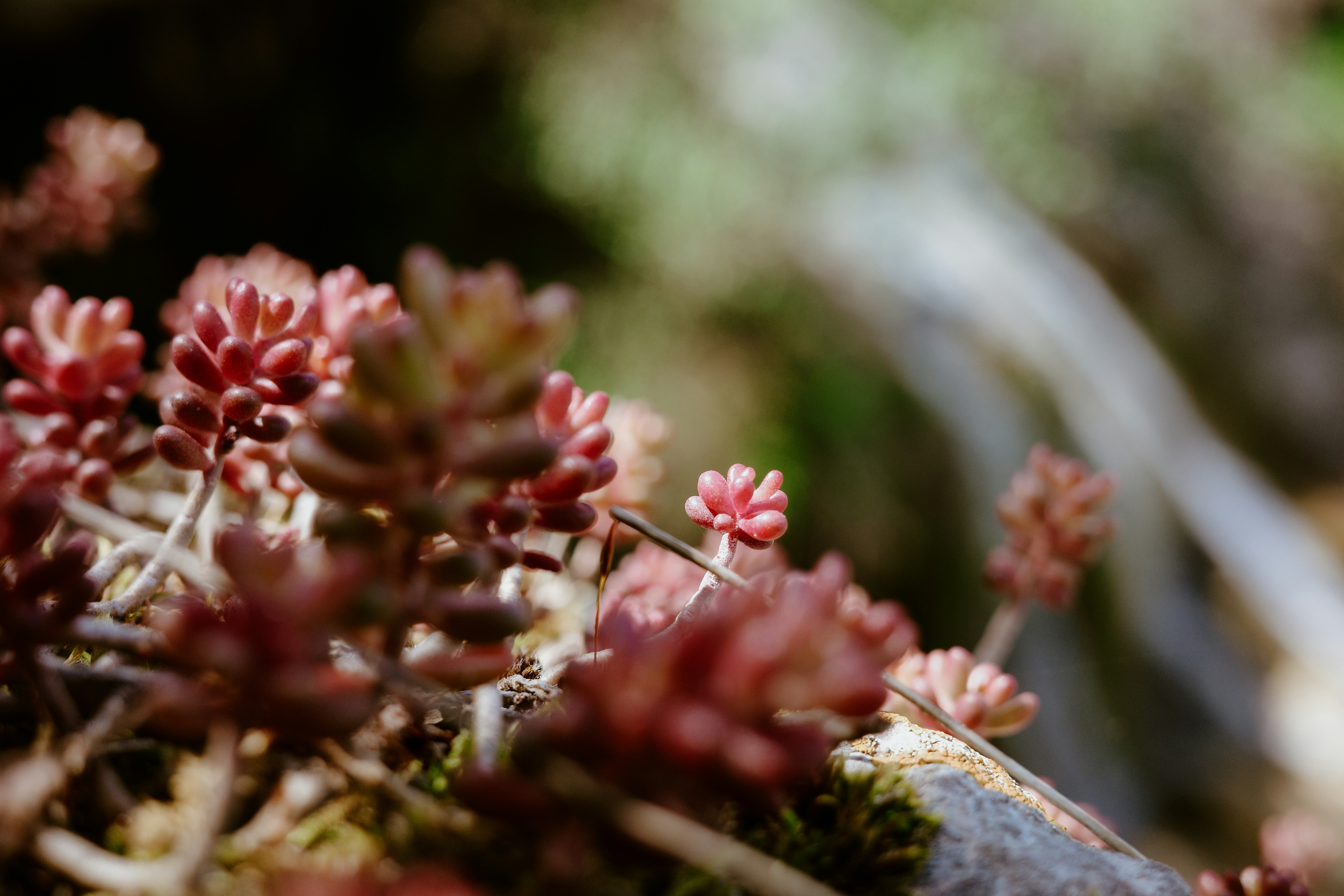 Photo by virginiaphotostories