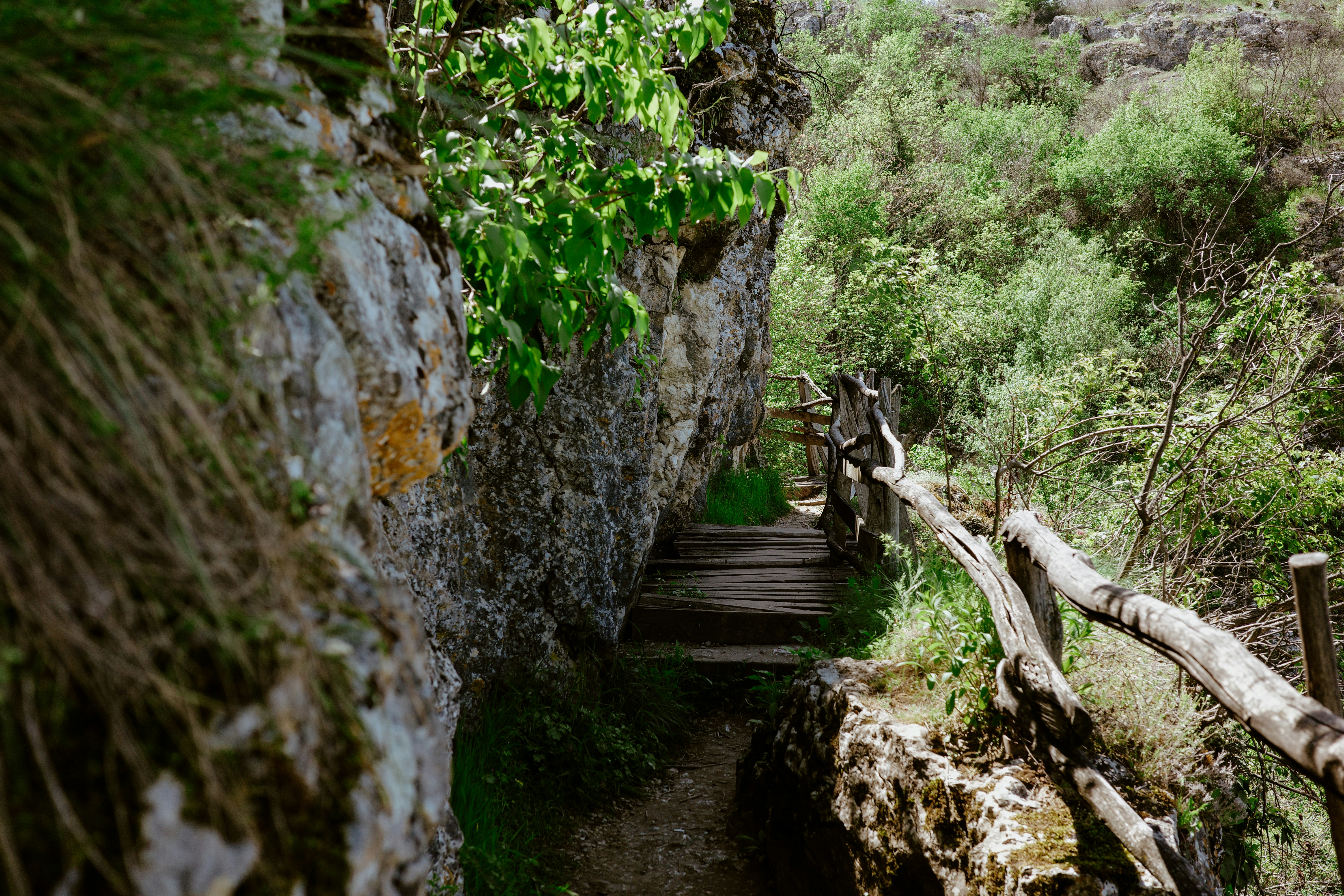 Photo by virginiaphotostories