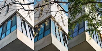 Building corner with trees and blue sky.