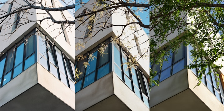 Building corner with trees and blue sky.