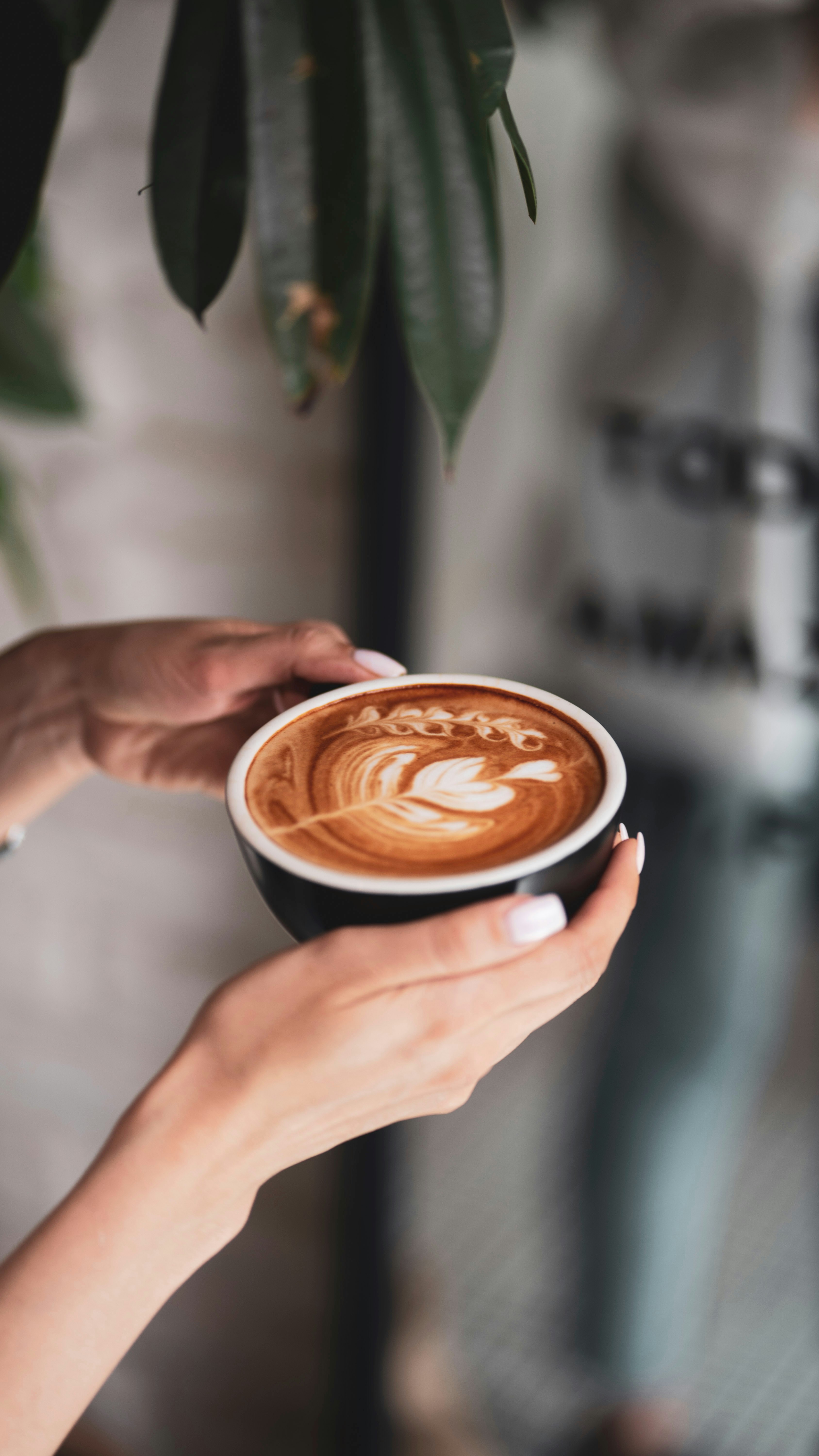 Photo by hoseinfayton