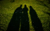 Three shadows on a grassy field.
