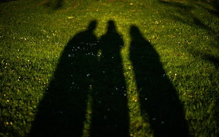Three shadows on a grassy field.