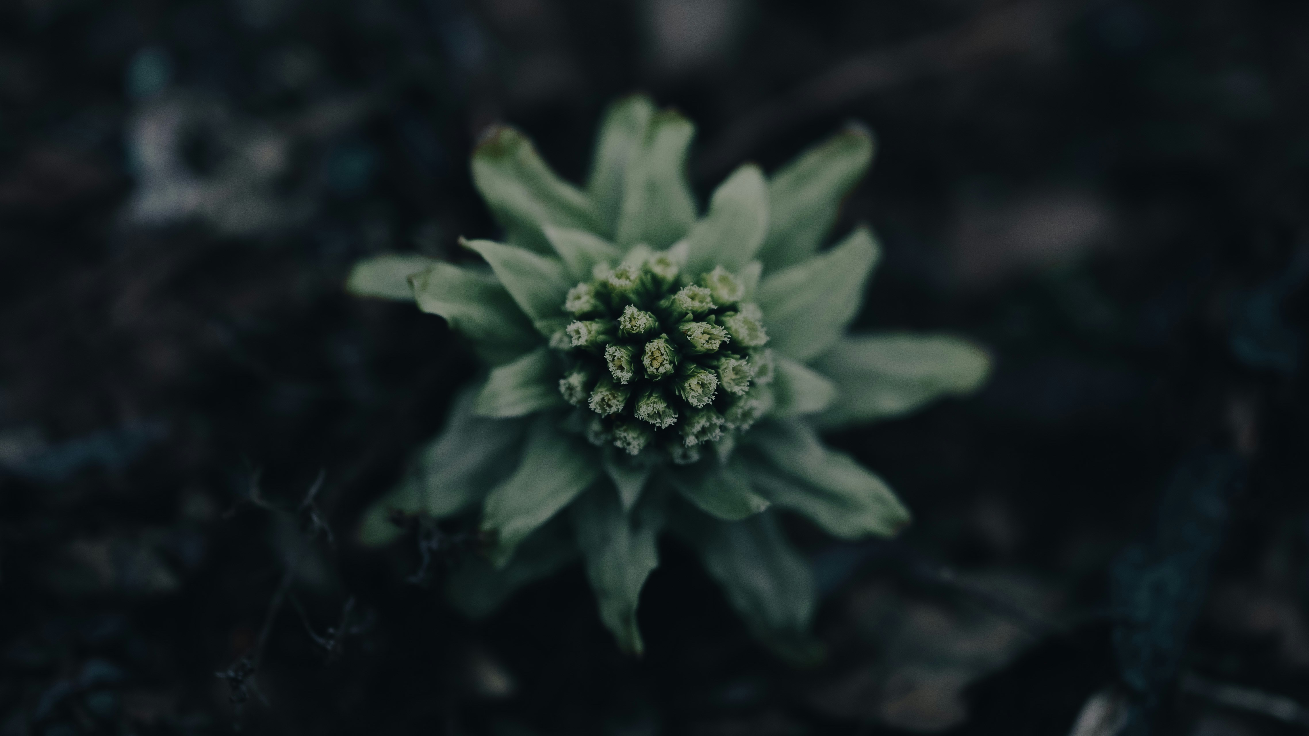 Photograph 14 by Tian Min