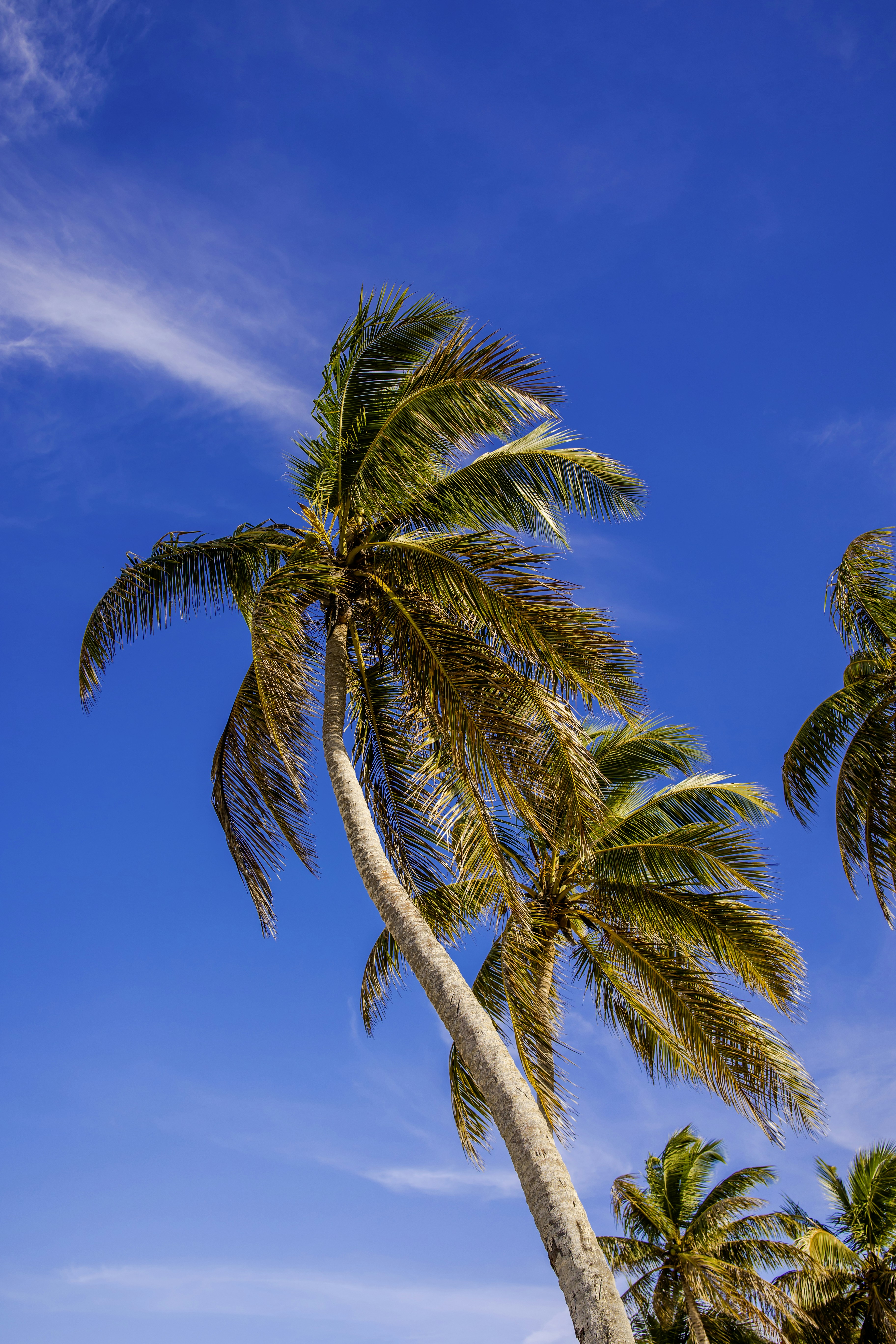 Photo by ronaldvargaz