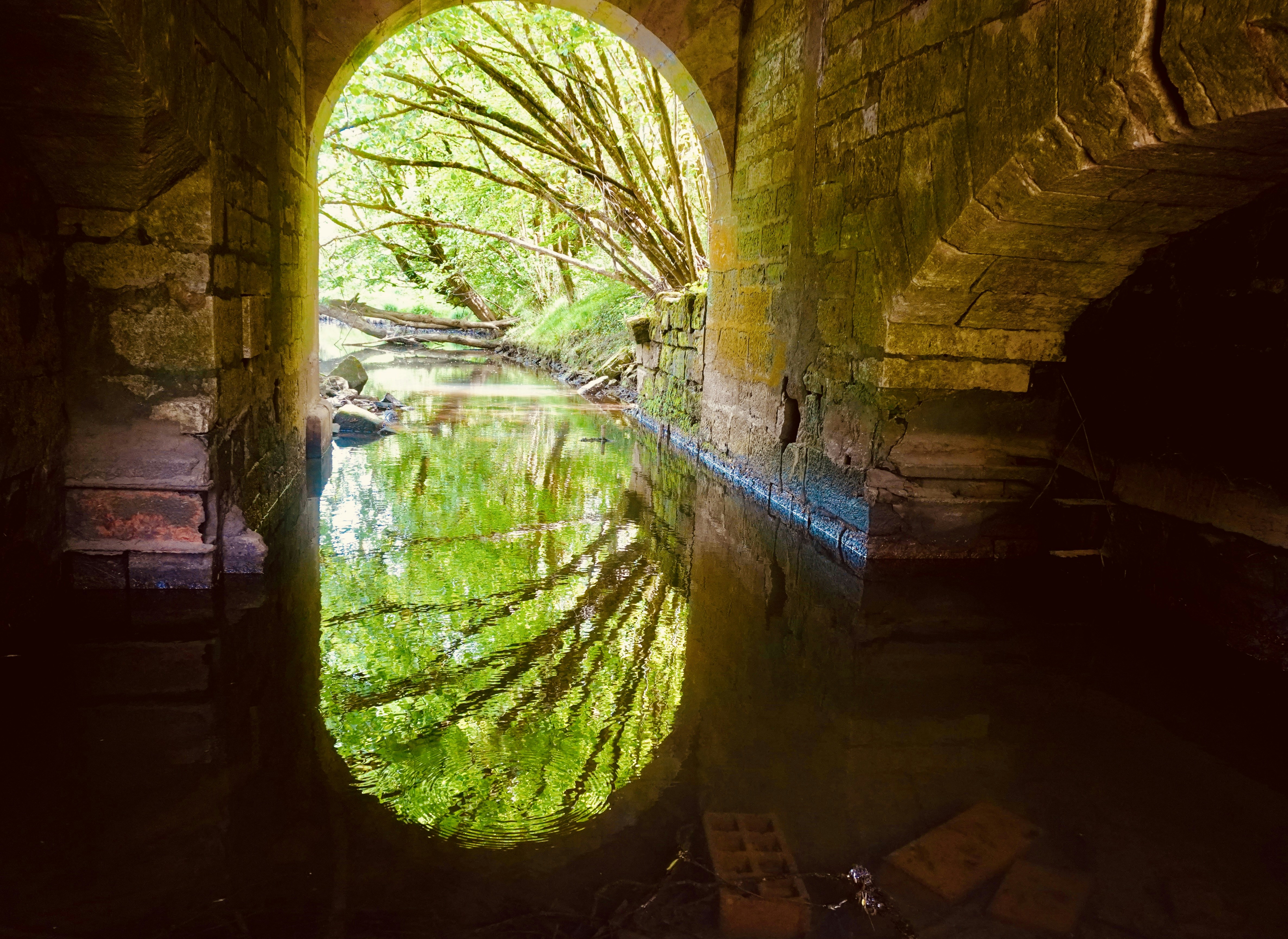 Water reflects trees through an arched doorway.