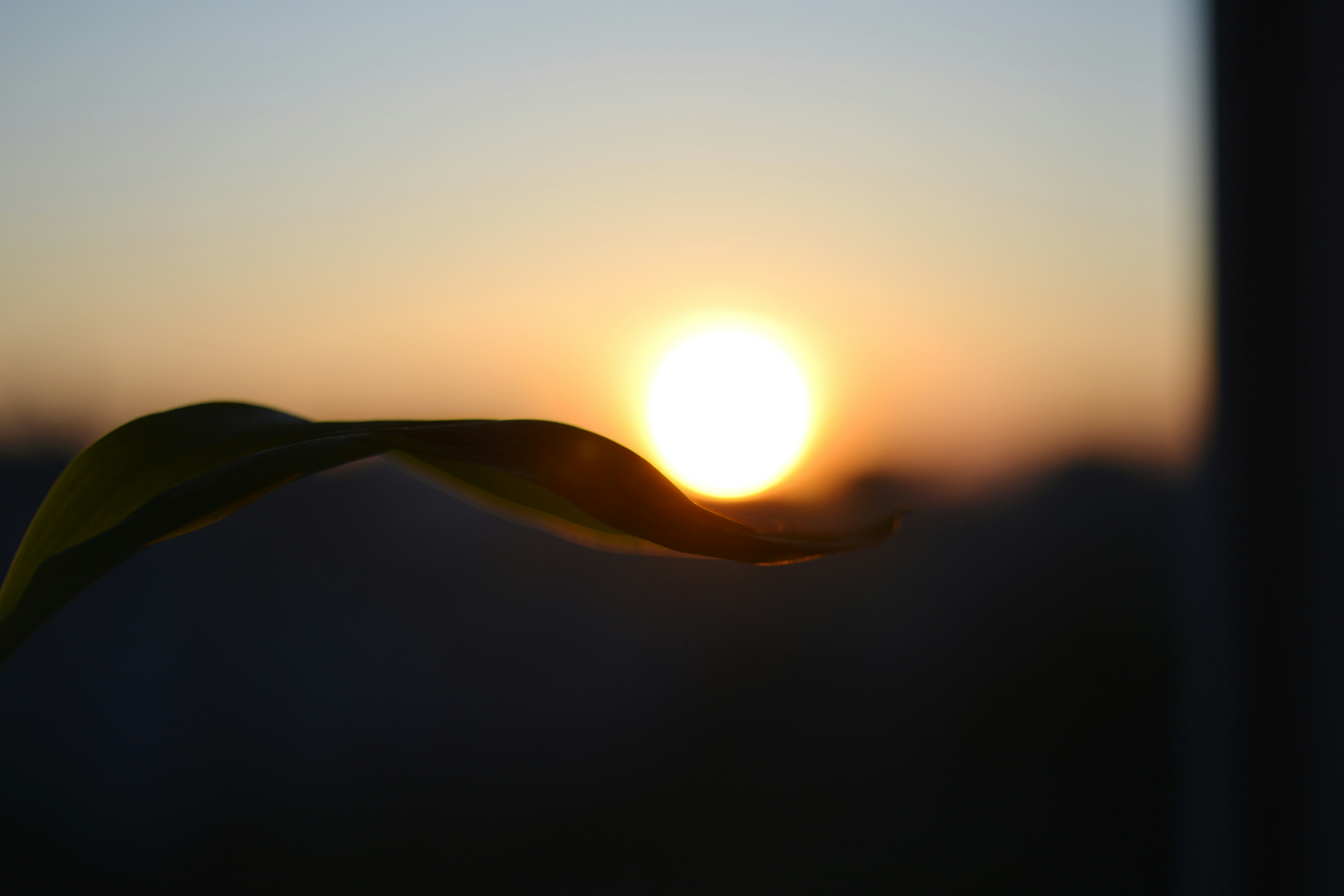 Photo by cherstve_pechivo