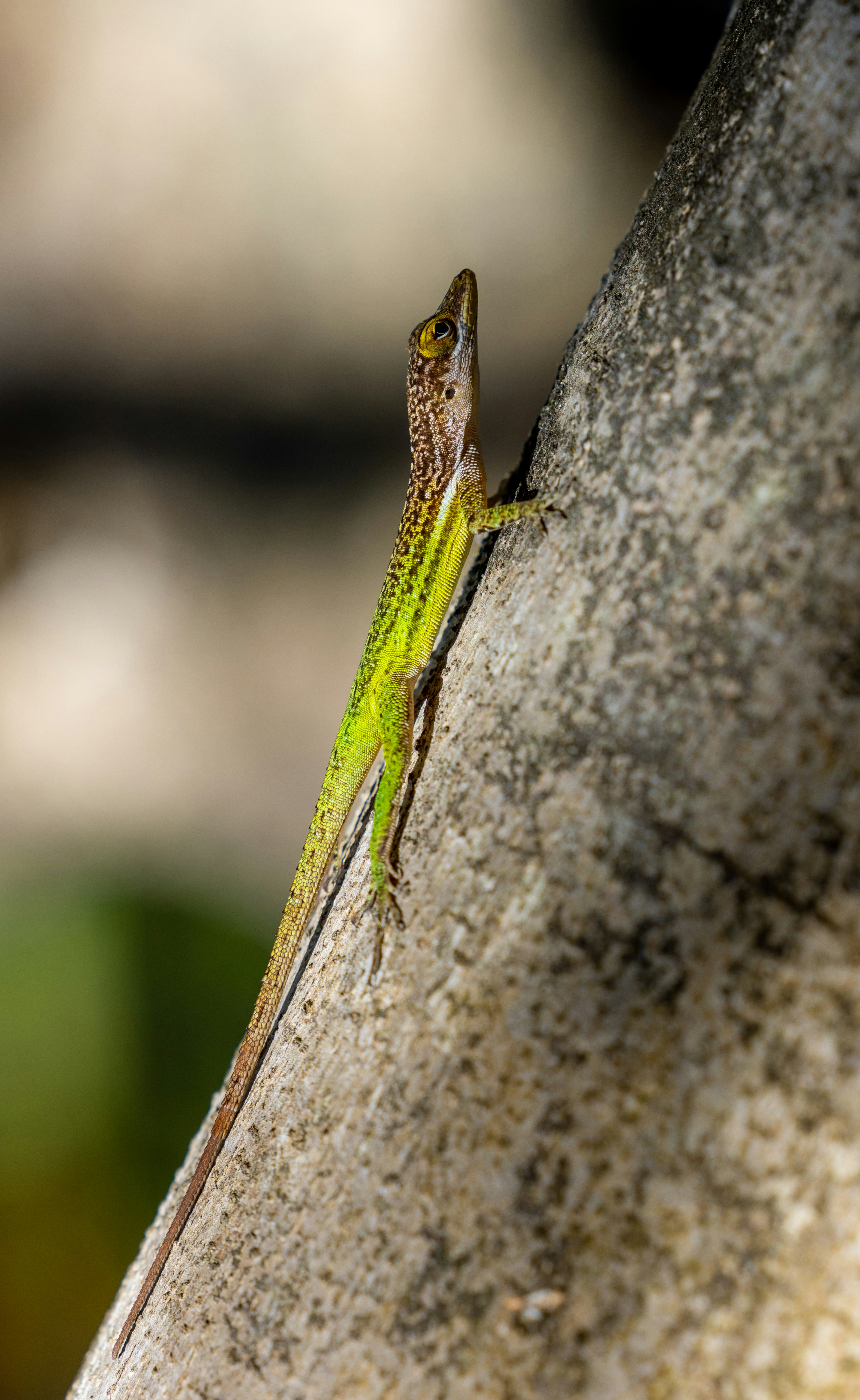 Photo by casunshine0508