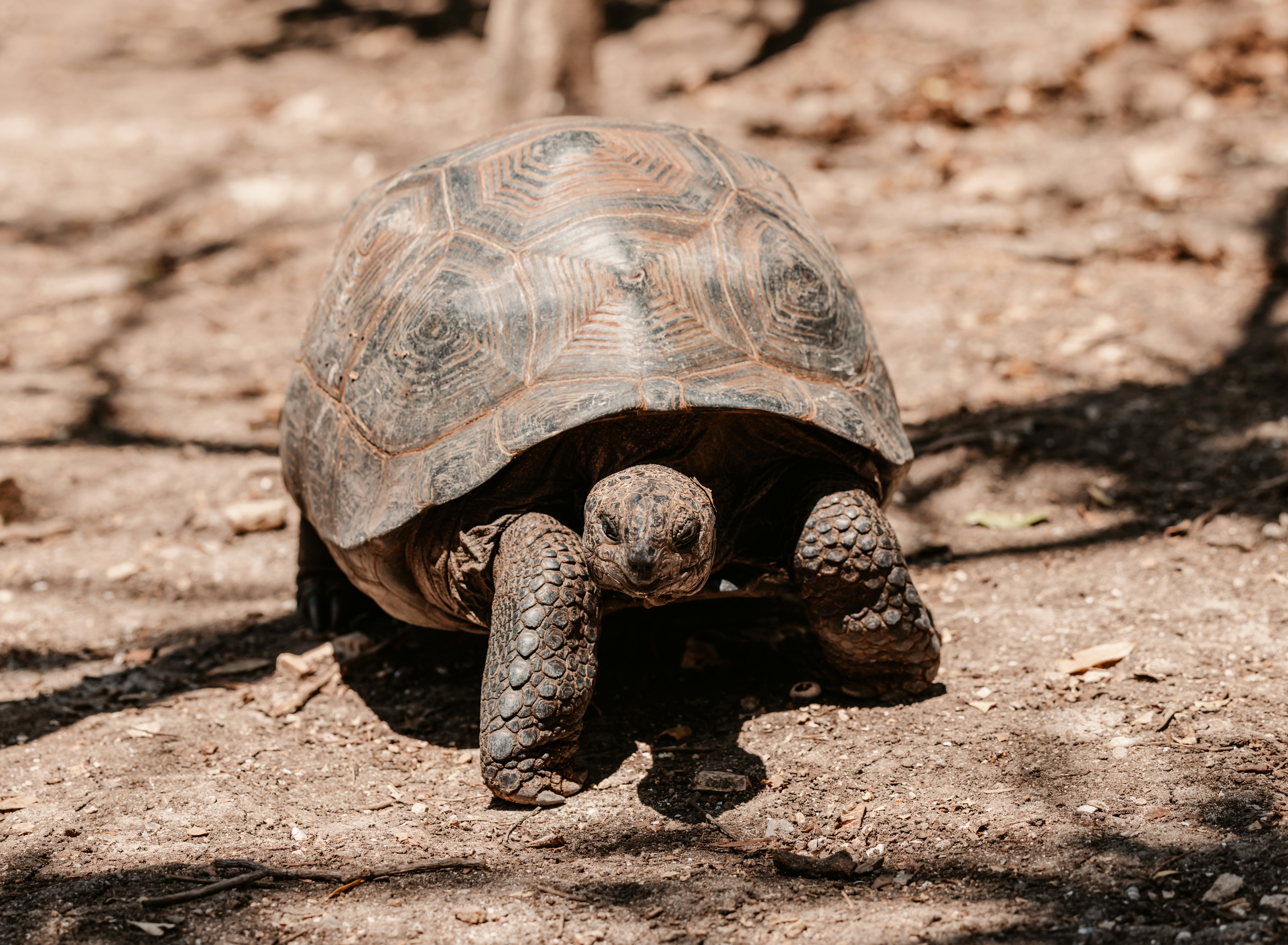 Photo by casunshine0508