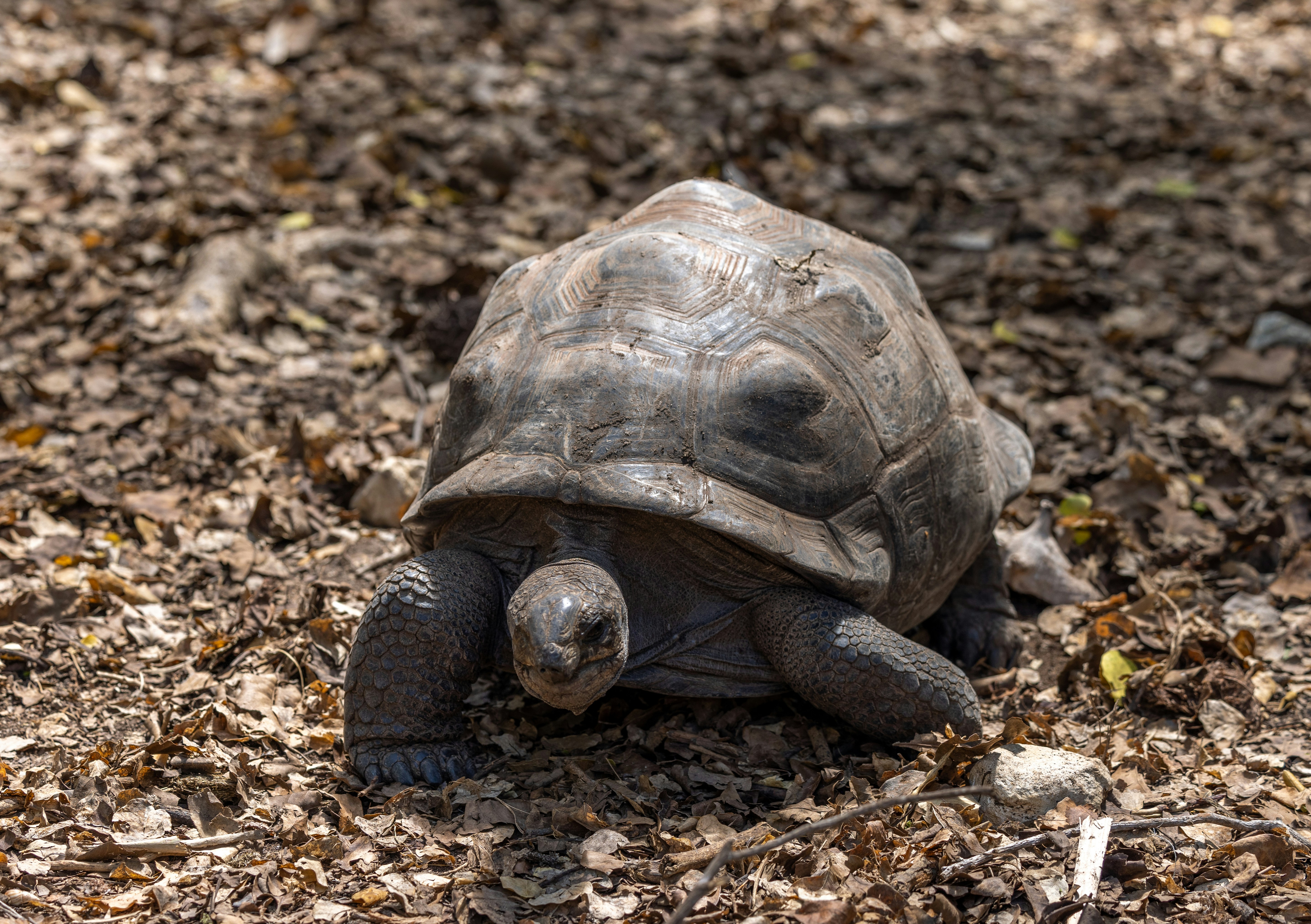 Photo by casunshine0508