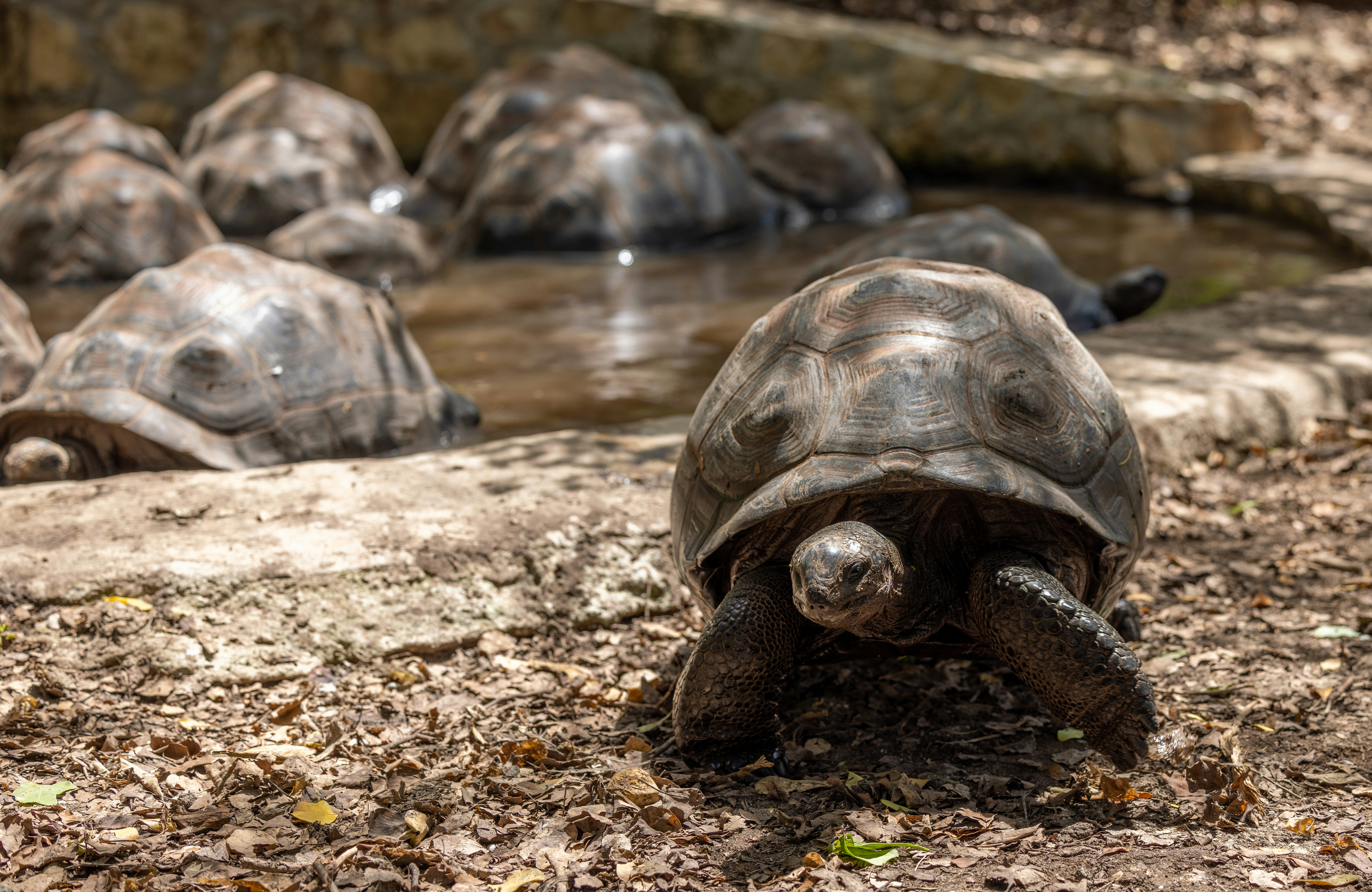 Photo by casunshine0508