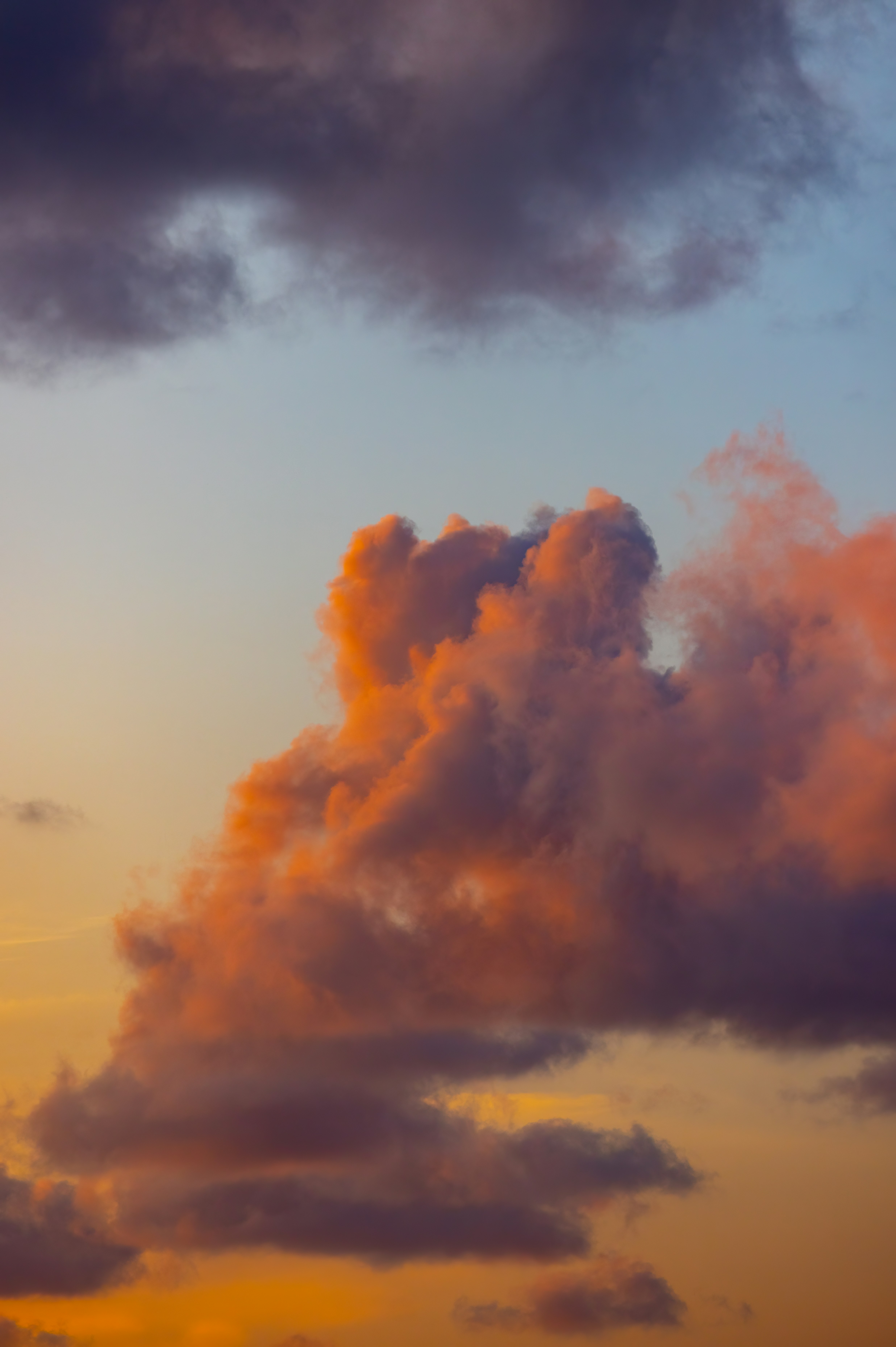 Photo by casunshine0508