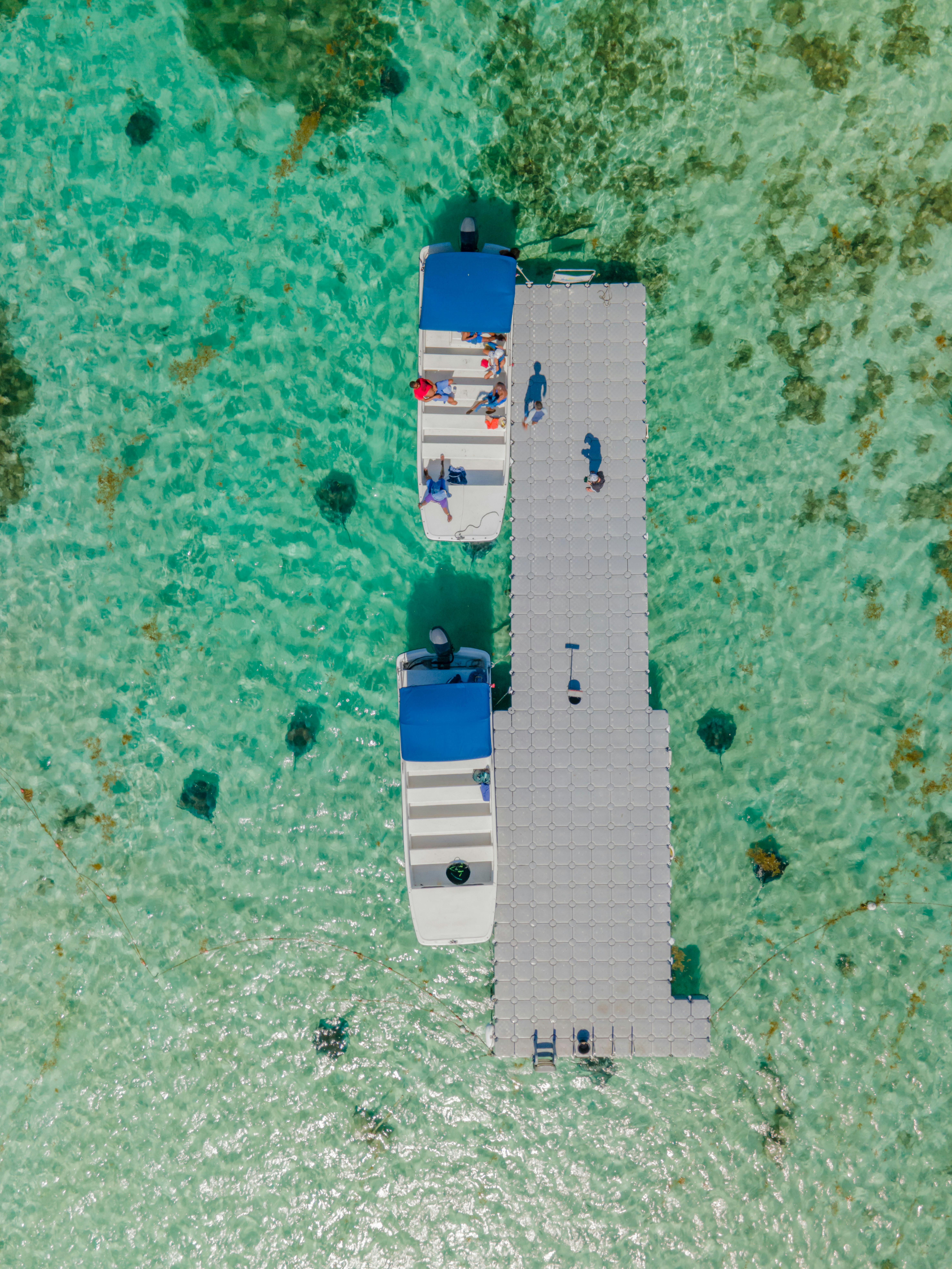 Photo by casunshine0508