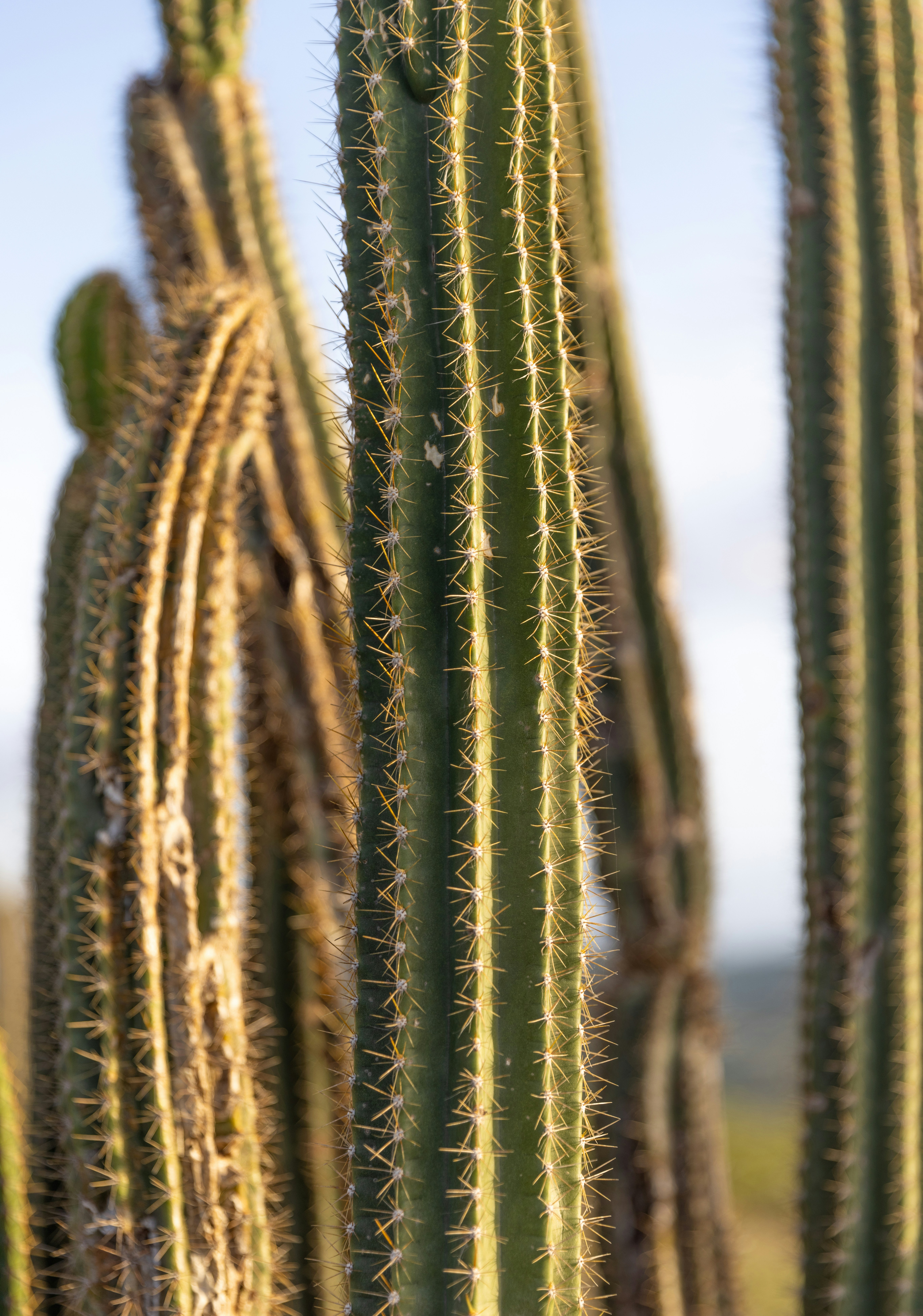 Photo by casunshine0508