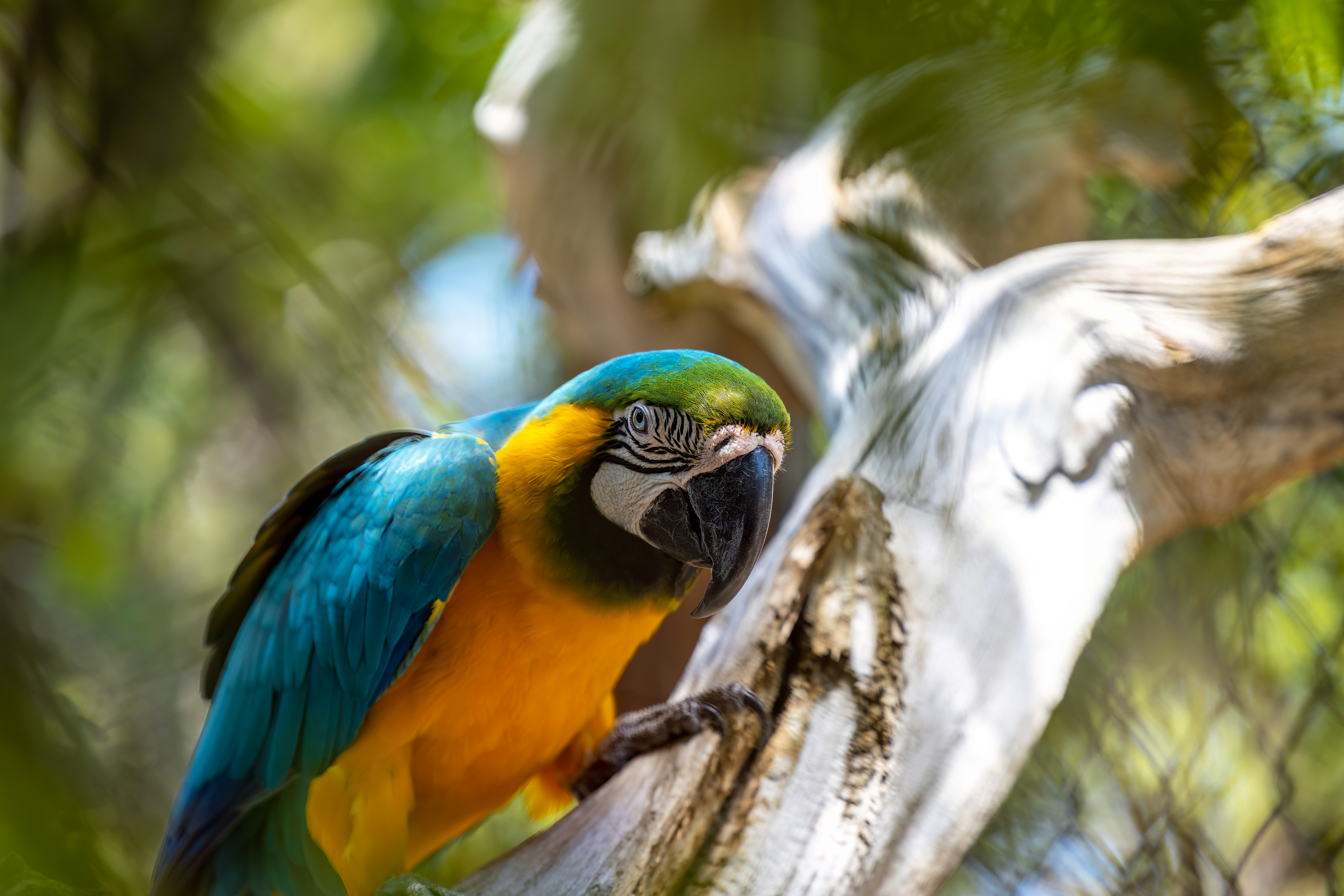 Photo by casunshine0508