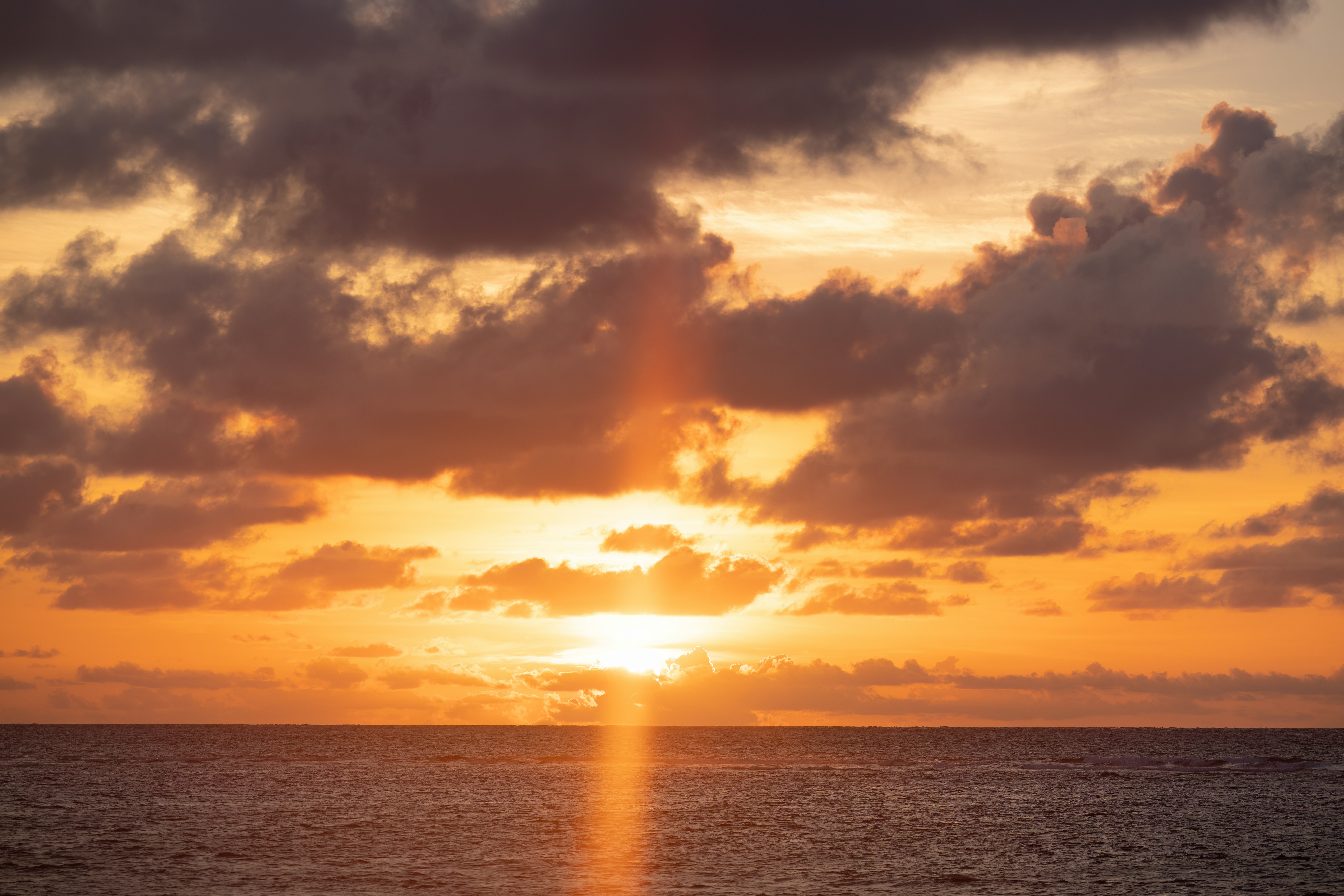 Photo by casunshine0508