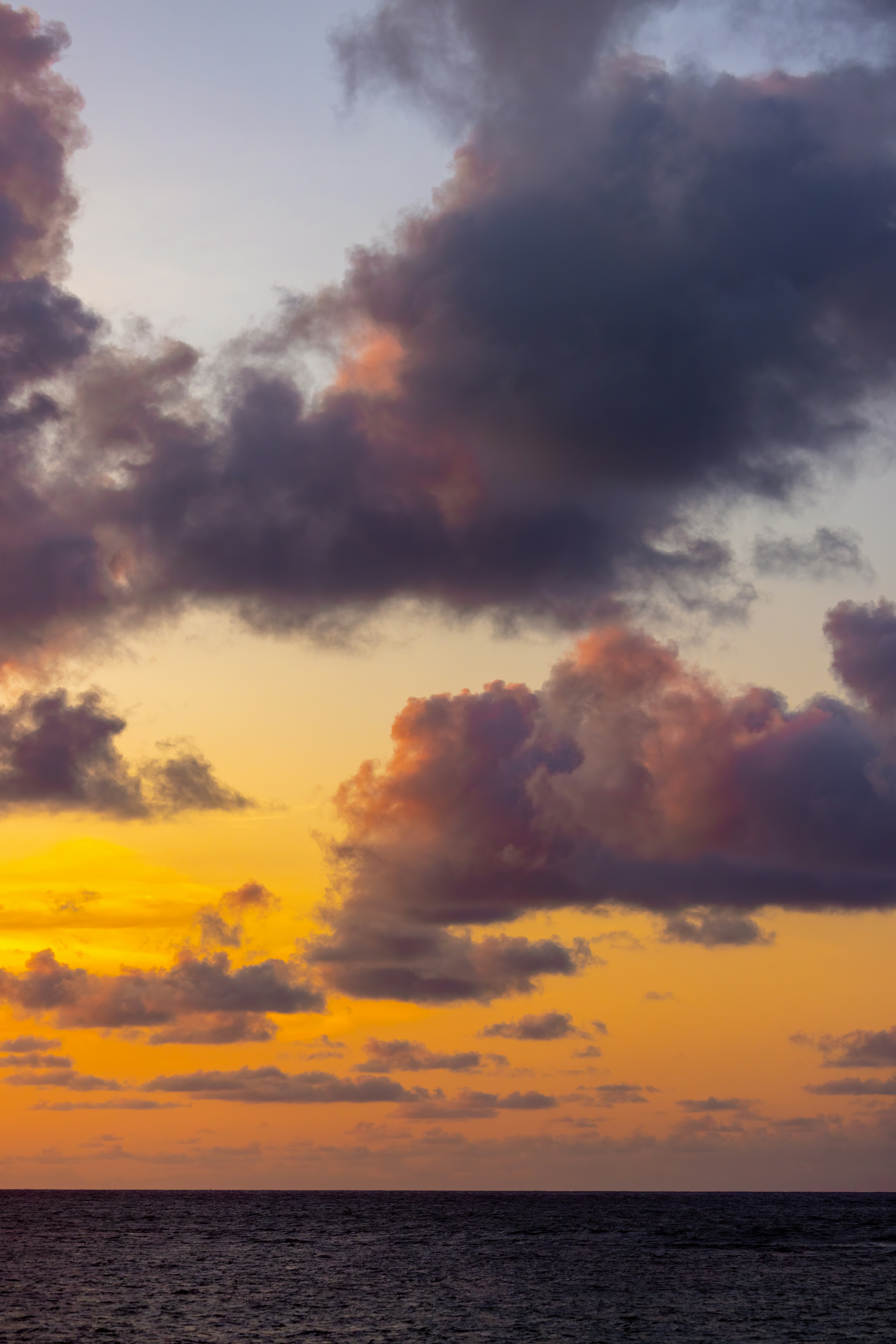 Photo by casunshine0508