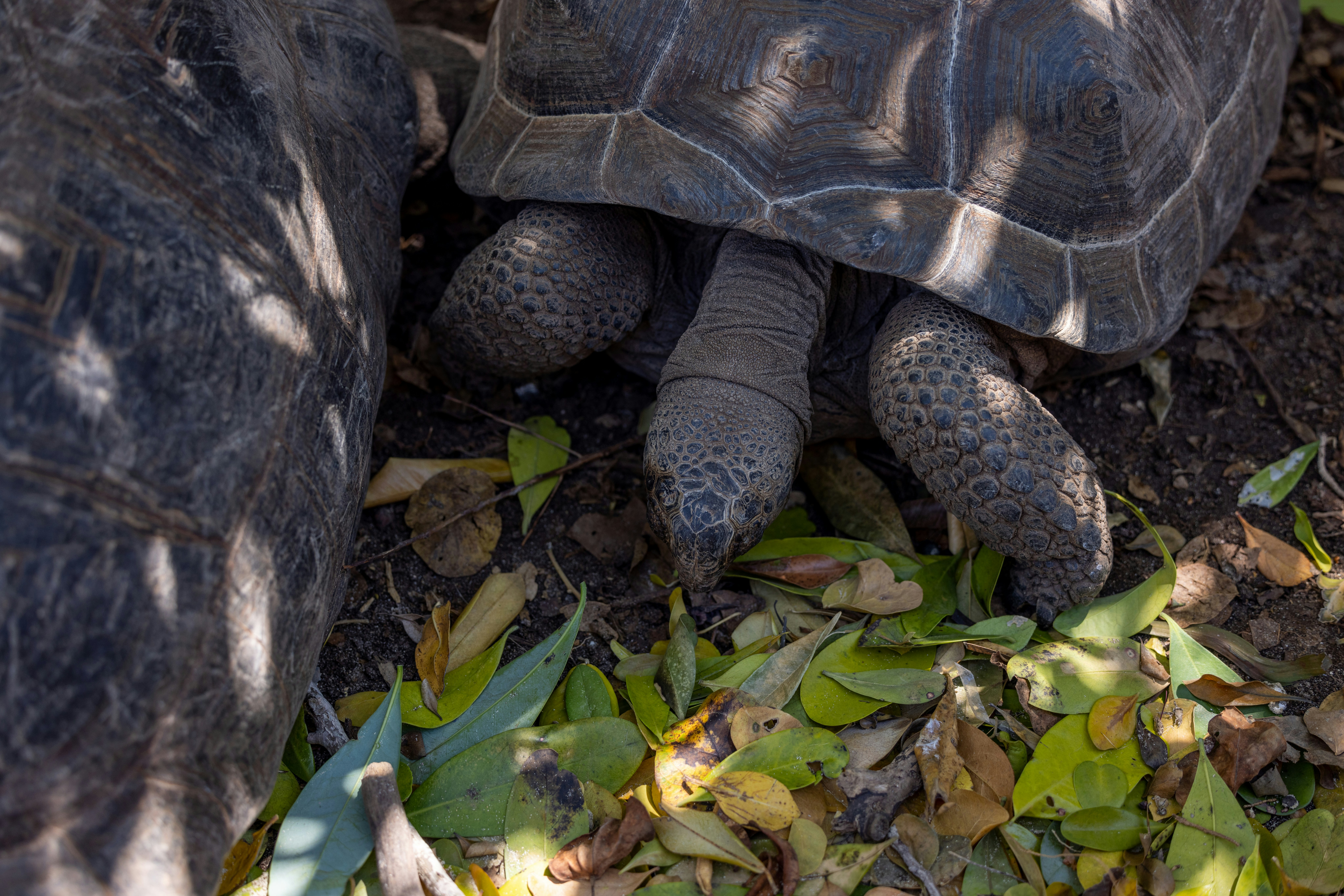 Photo by casunshine0508